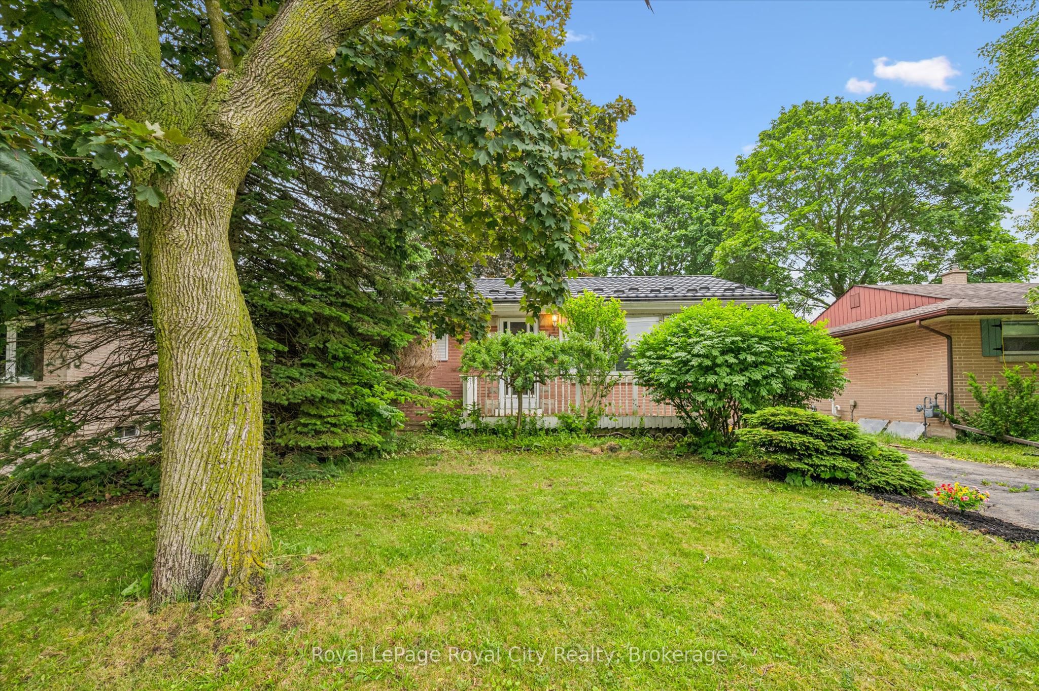87 Cassino Avenue Property Photo 6