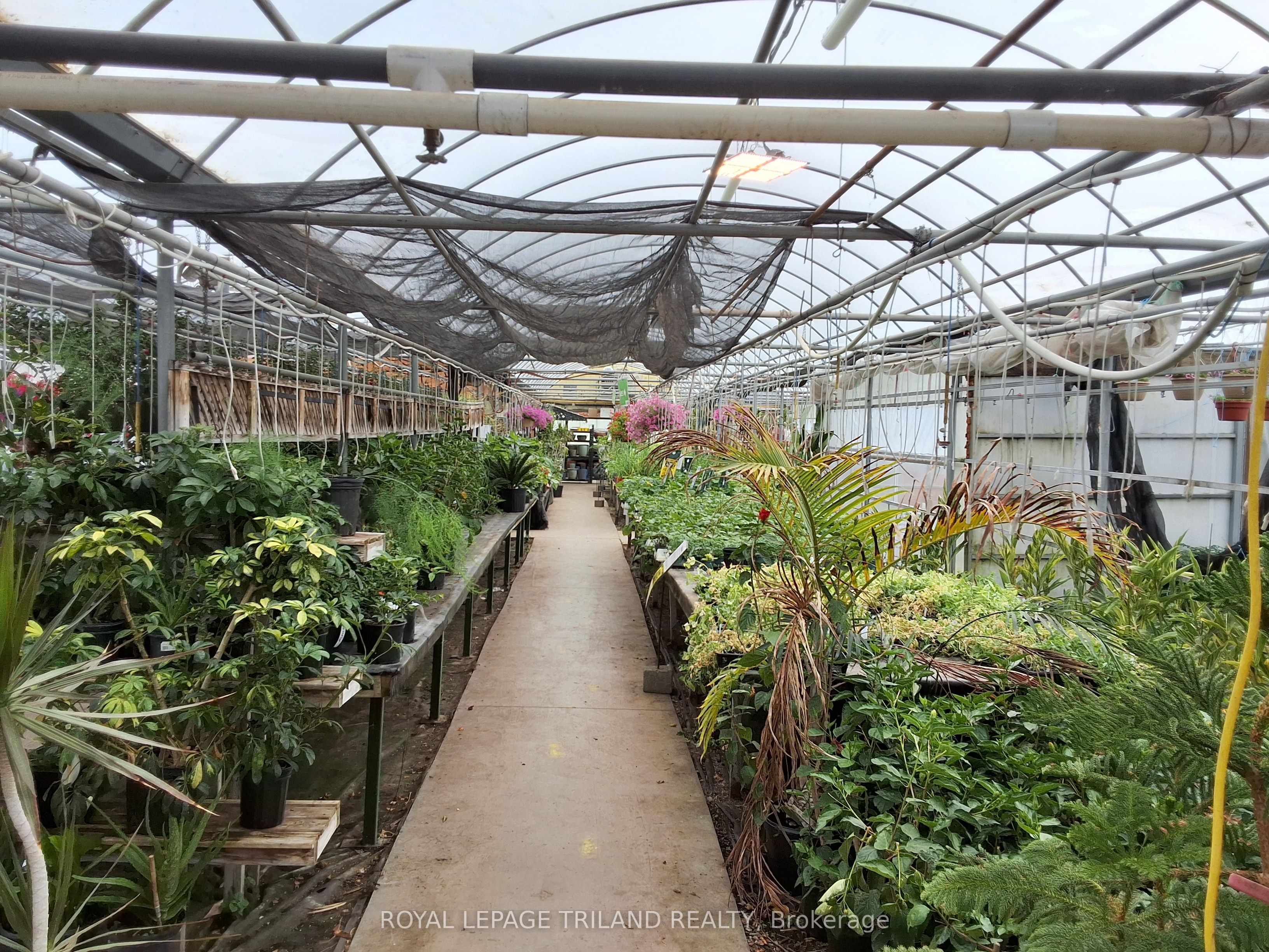 1720 Gore Road Property Photo 10