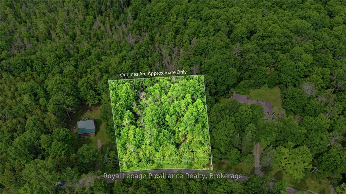 0 Swinburne Lane Property Photo 3