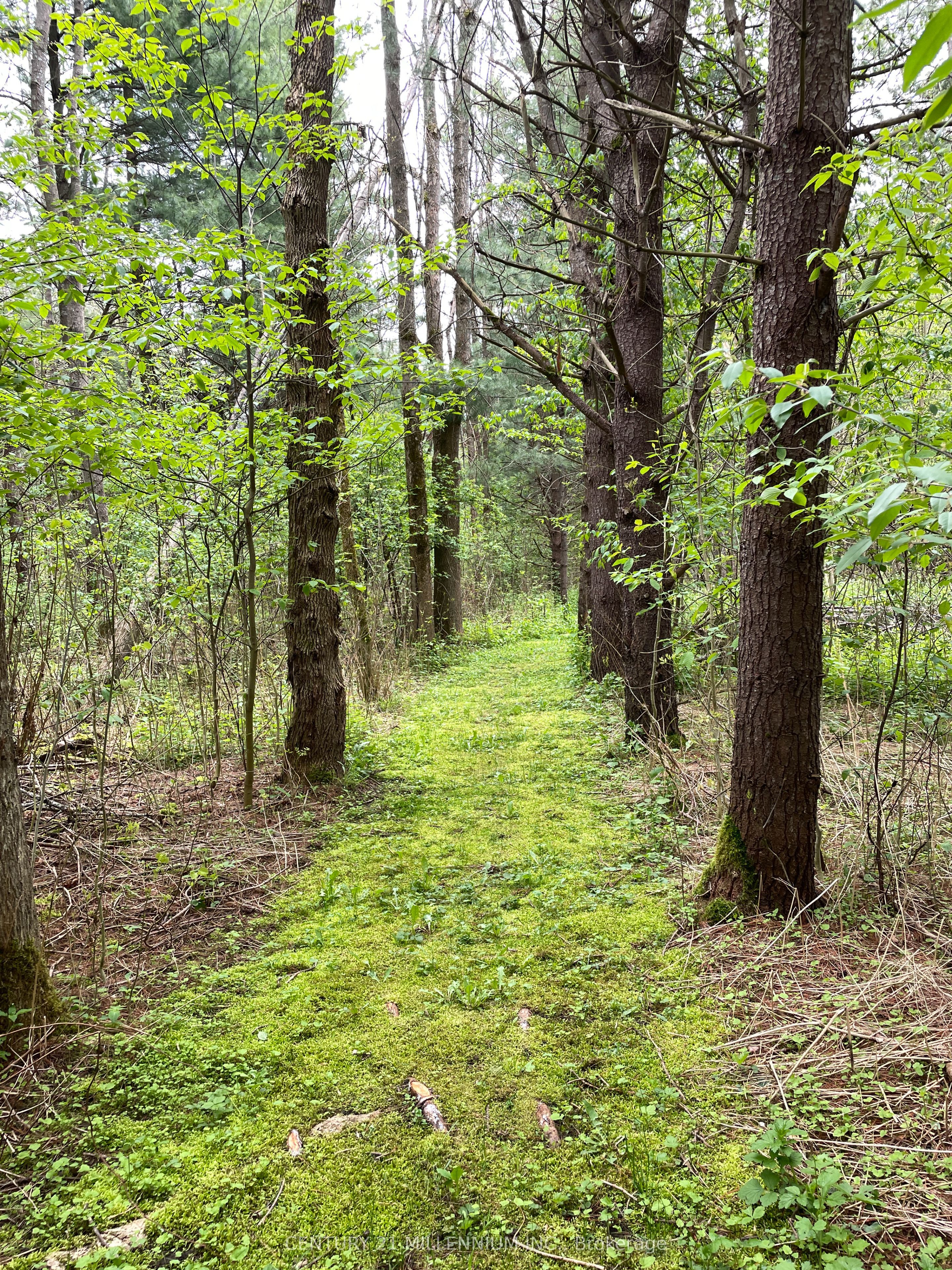 597334 2nd Line W Property Photo 32