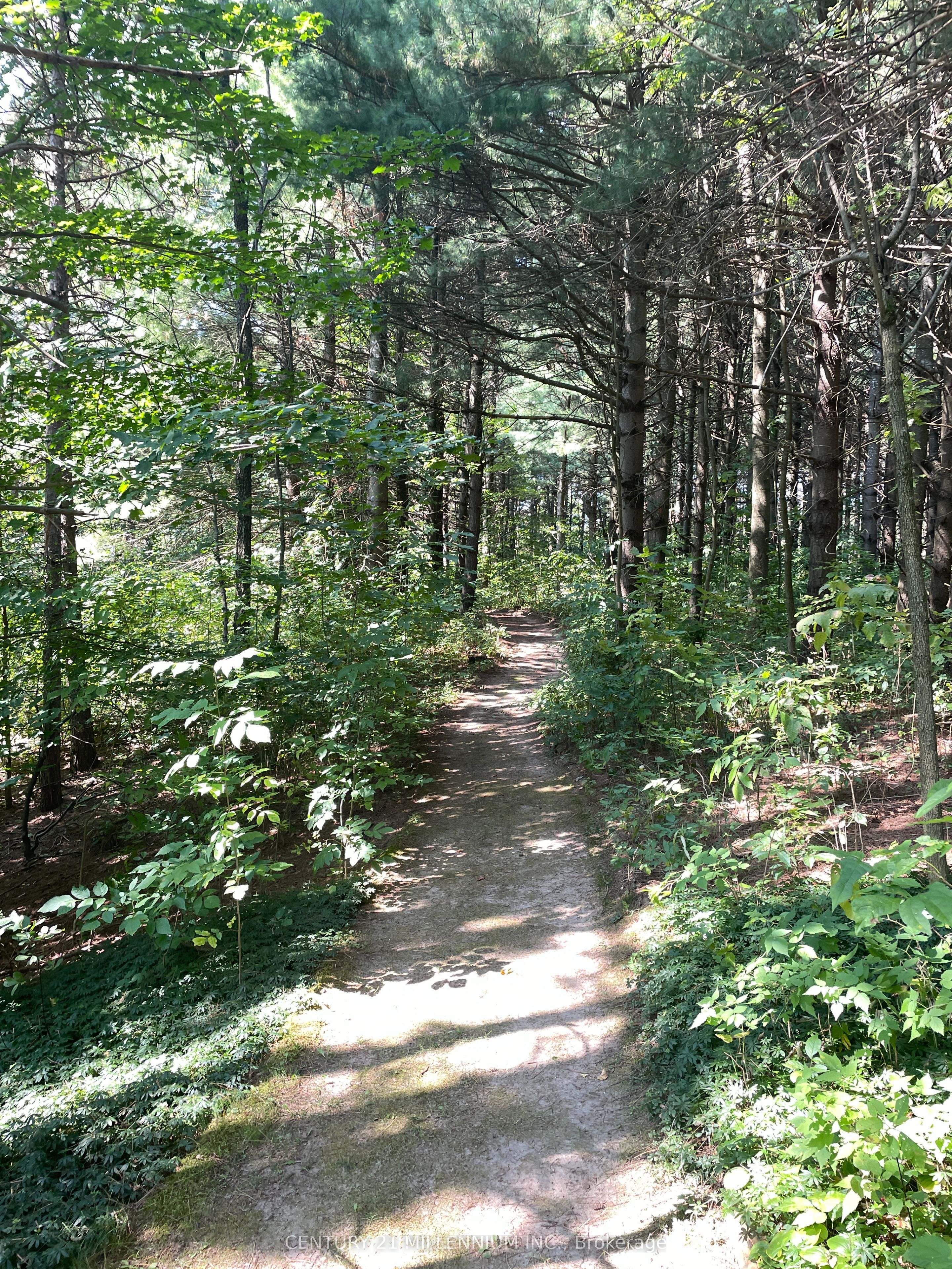597334 2nd Line W Property Photo 35