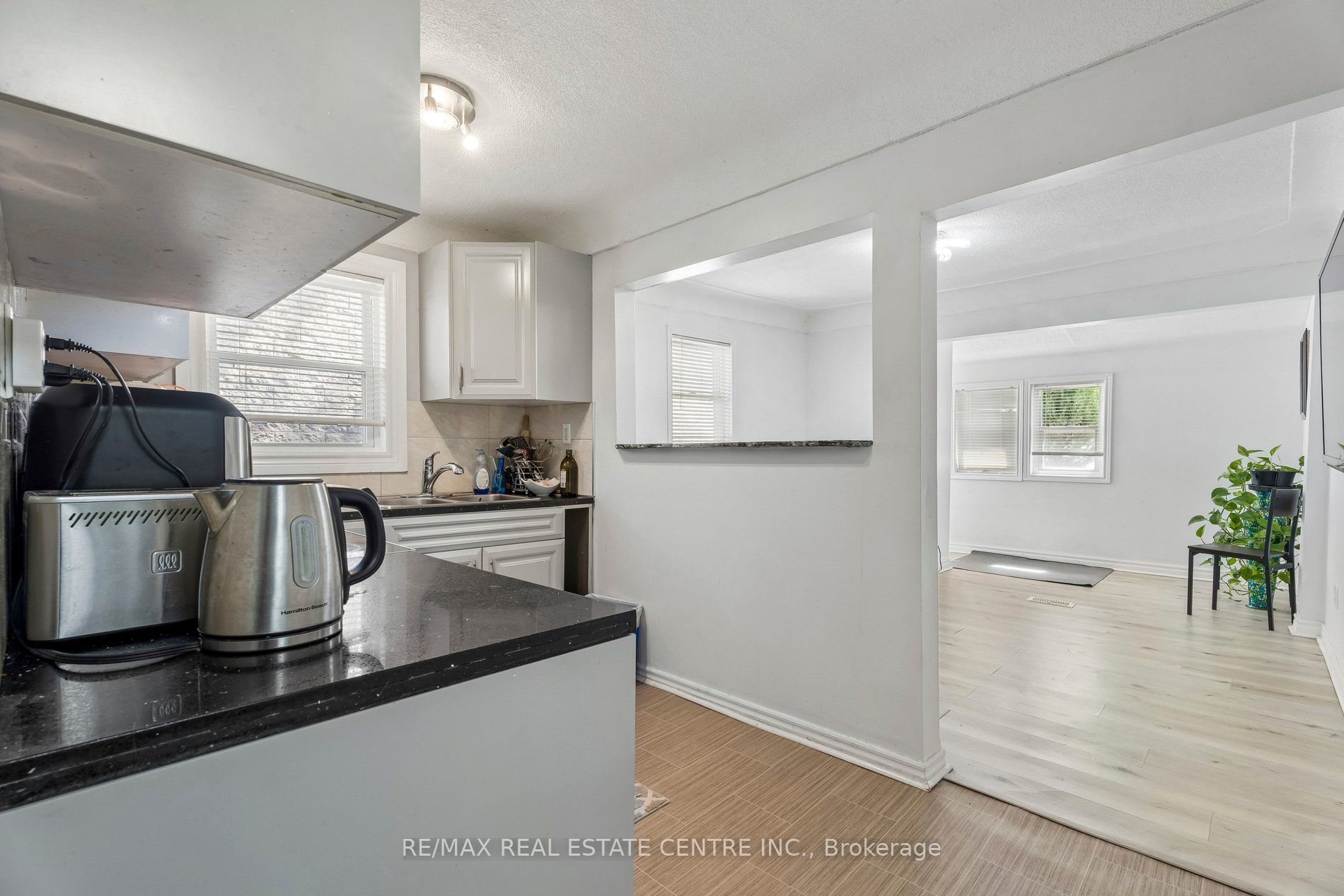 43 Whitfield Avenue Property Photo 23