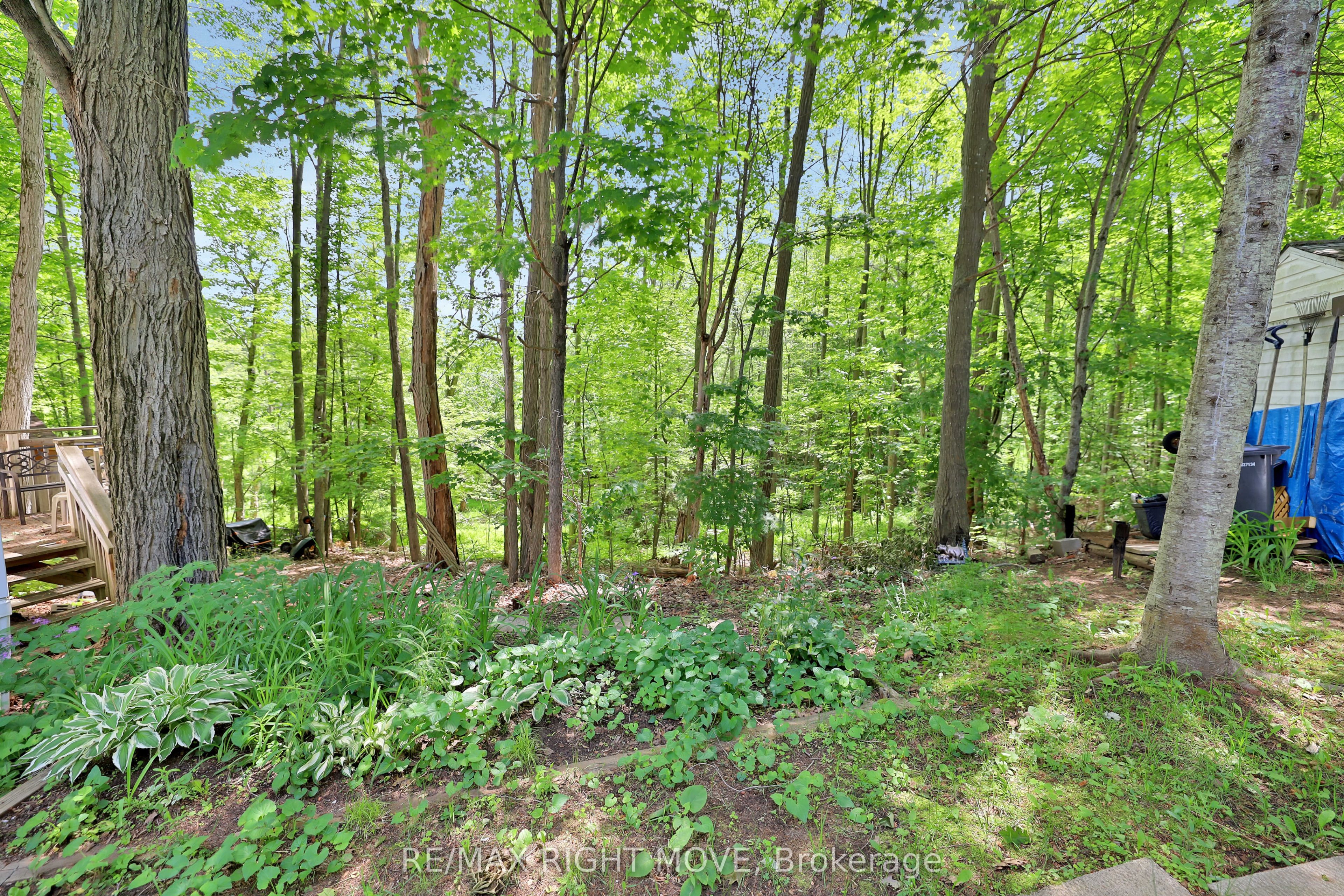 1007 Racoon Road 94 Property Photo 18