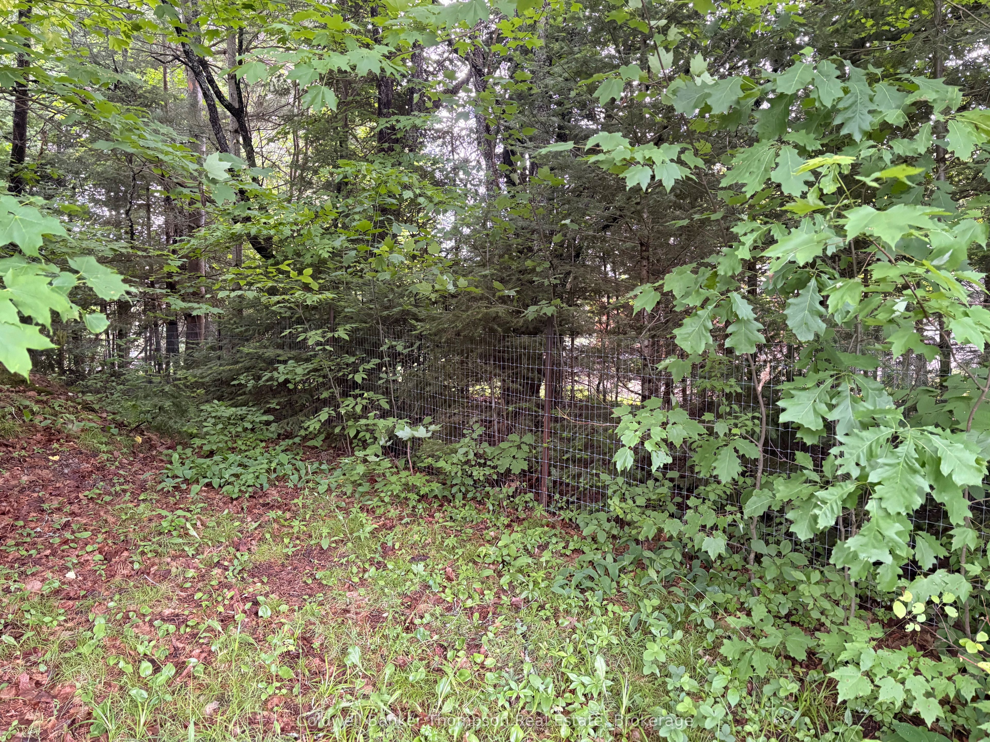 2197 Stisted Road S Property Photo 4