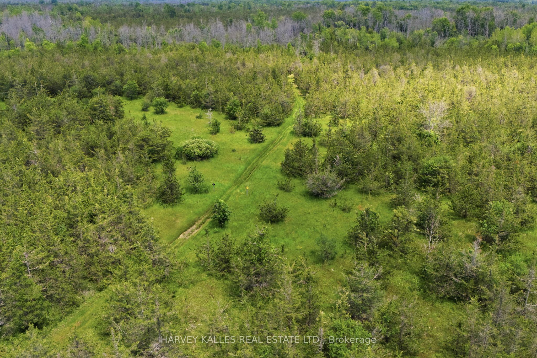 511 County Road 8 Property Photo 45