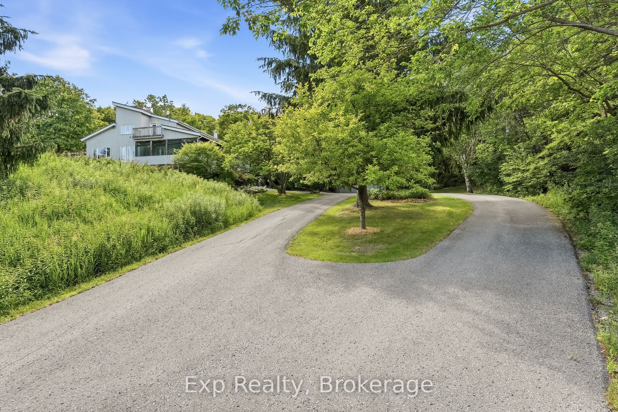 3282 Williamson Road Property Photo 5