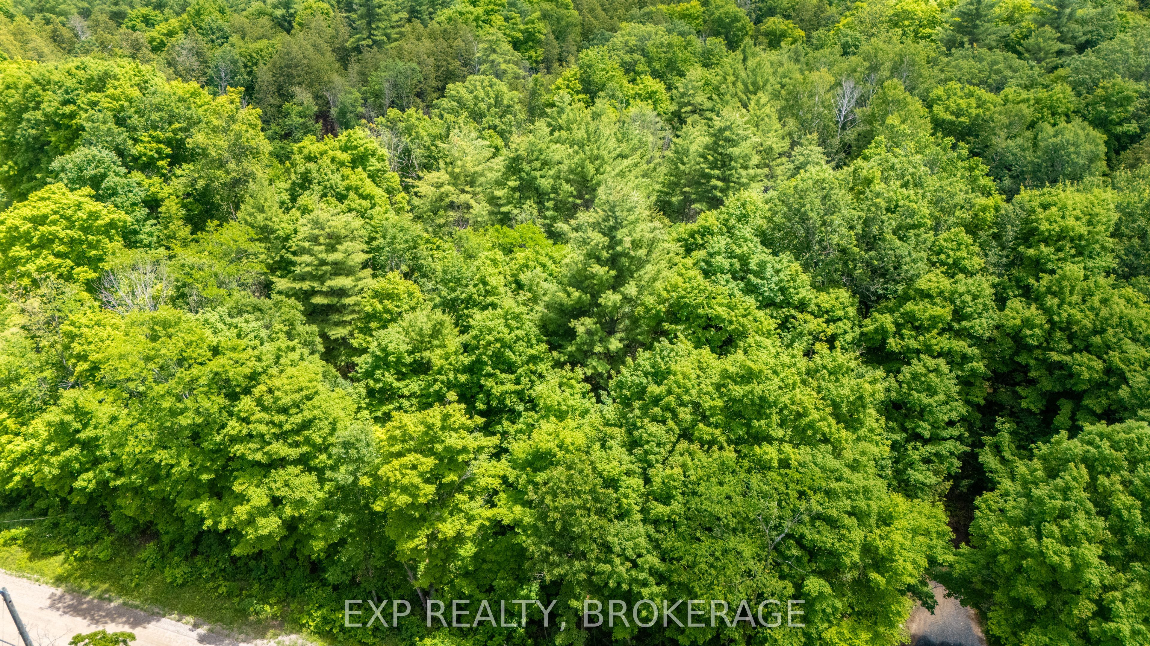 1881 Elm Tree Road Property Photo 3