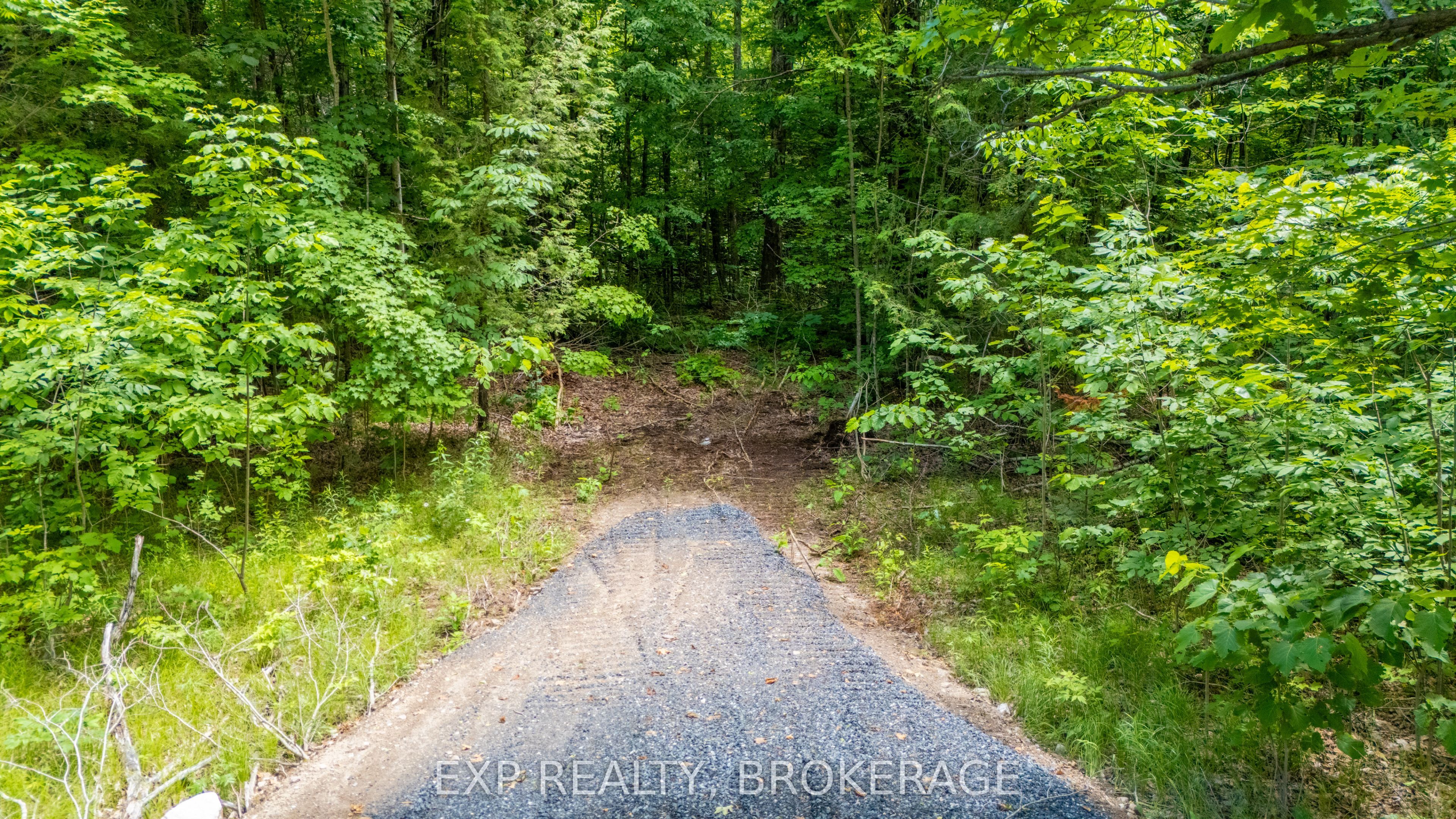 1881 Elm Tree Road Property Photo 6