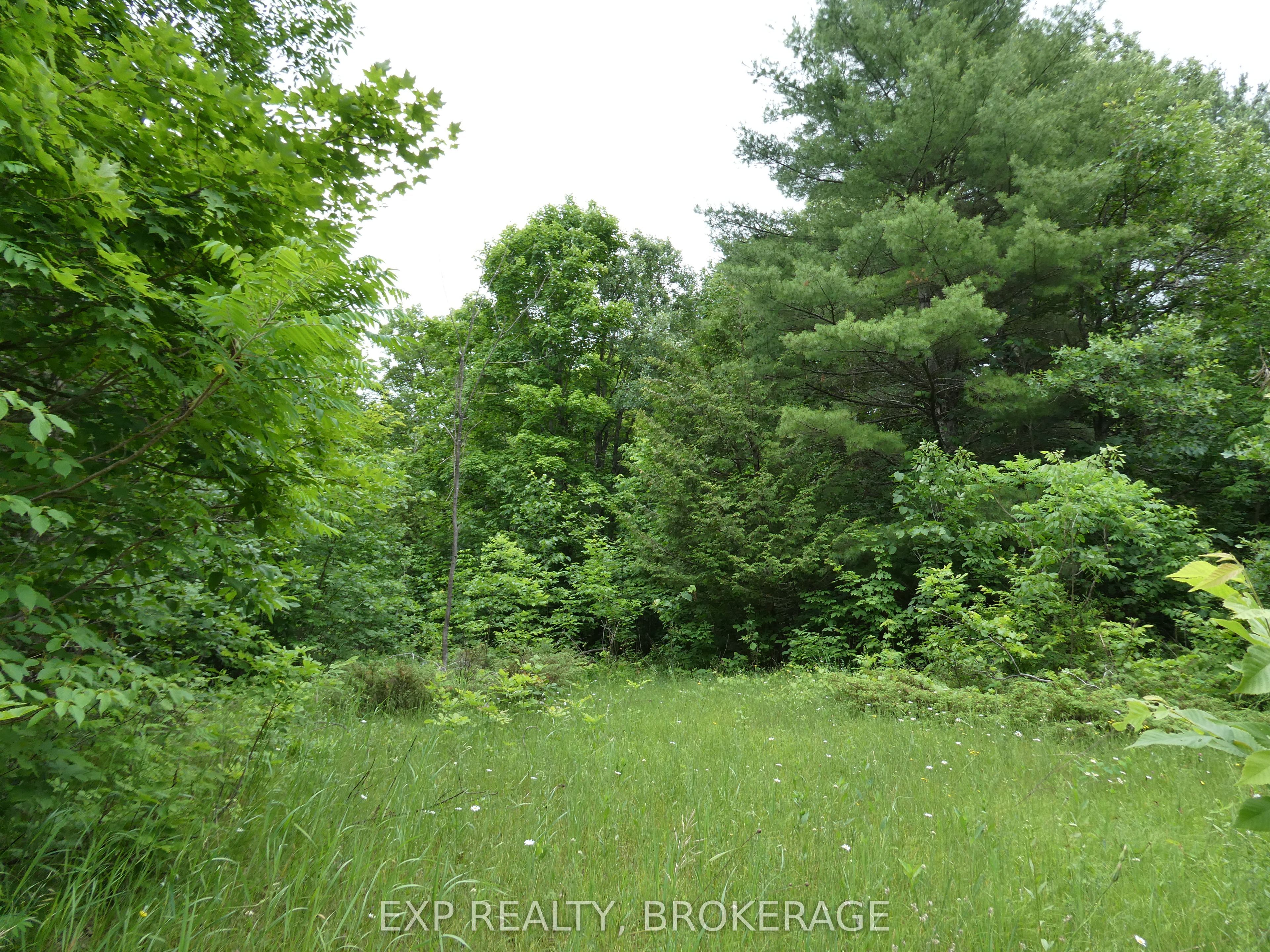 1881 Elm Tree Road Property Photo 21