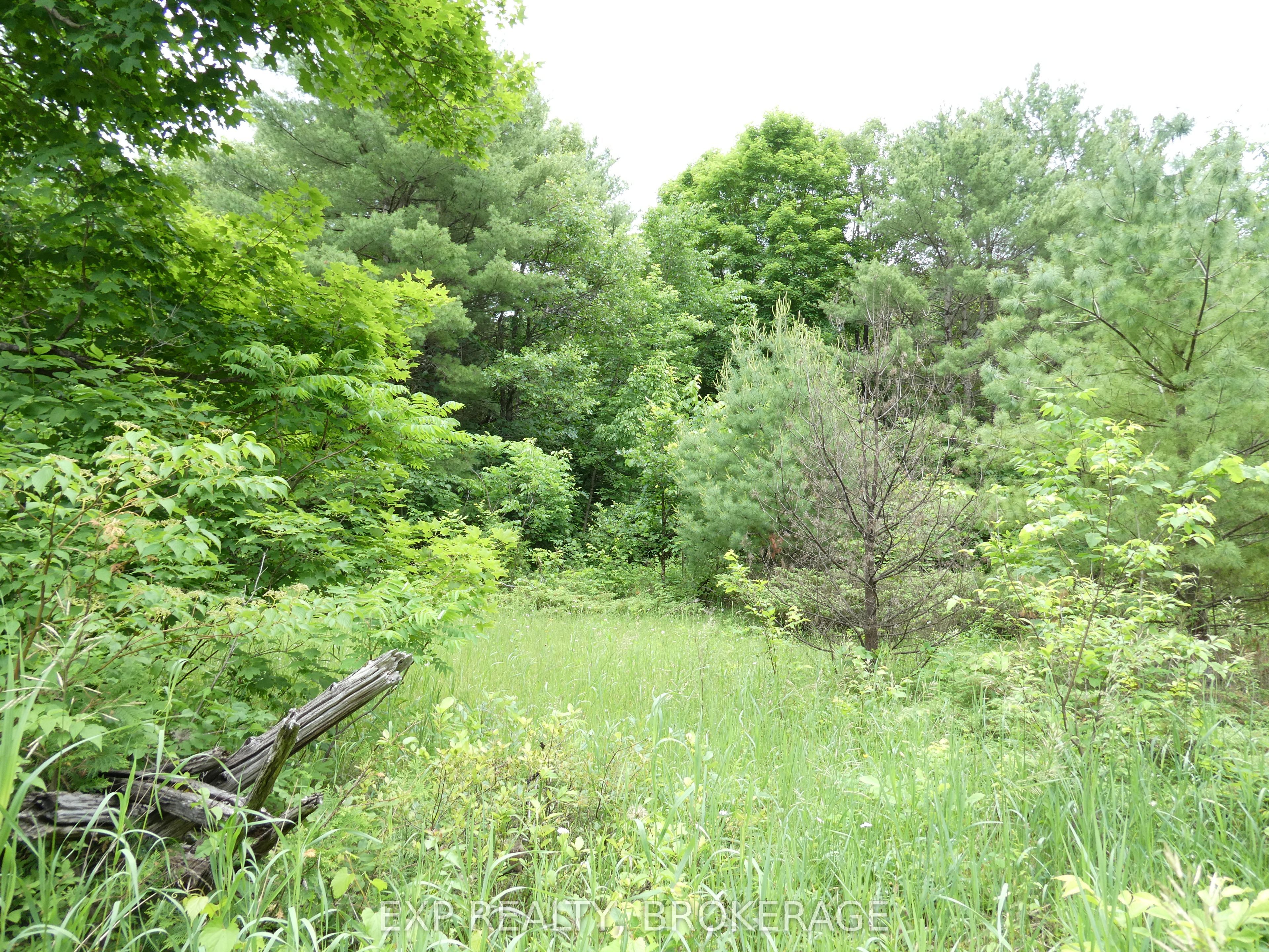1881 Elm Tree Road Property Photo 22