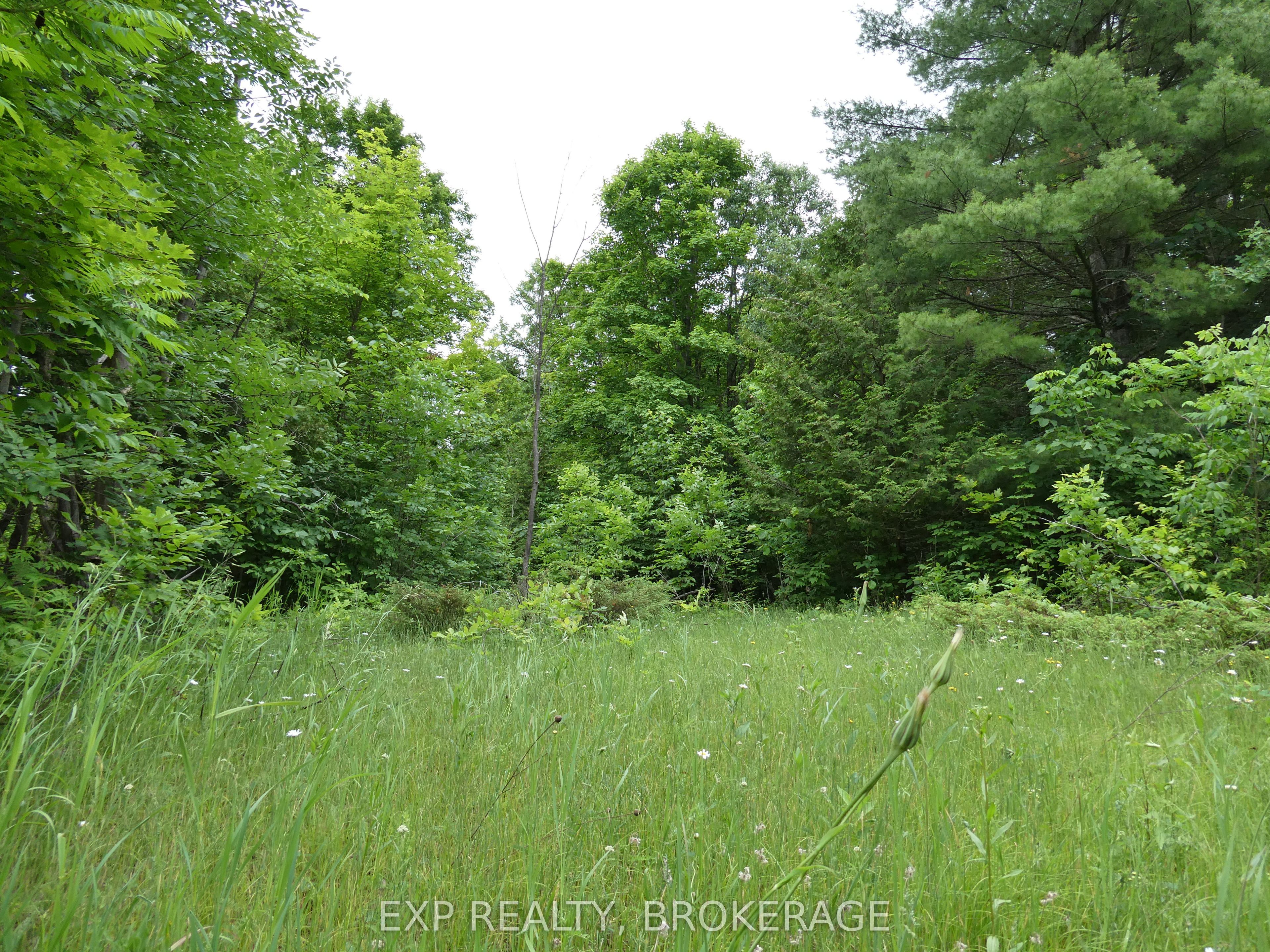 1881 Elm Tree Road Property Photo 23