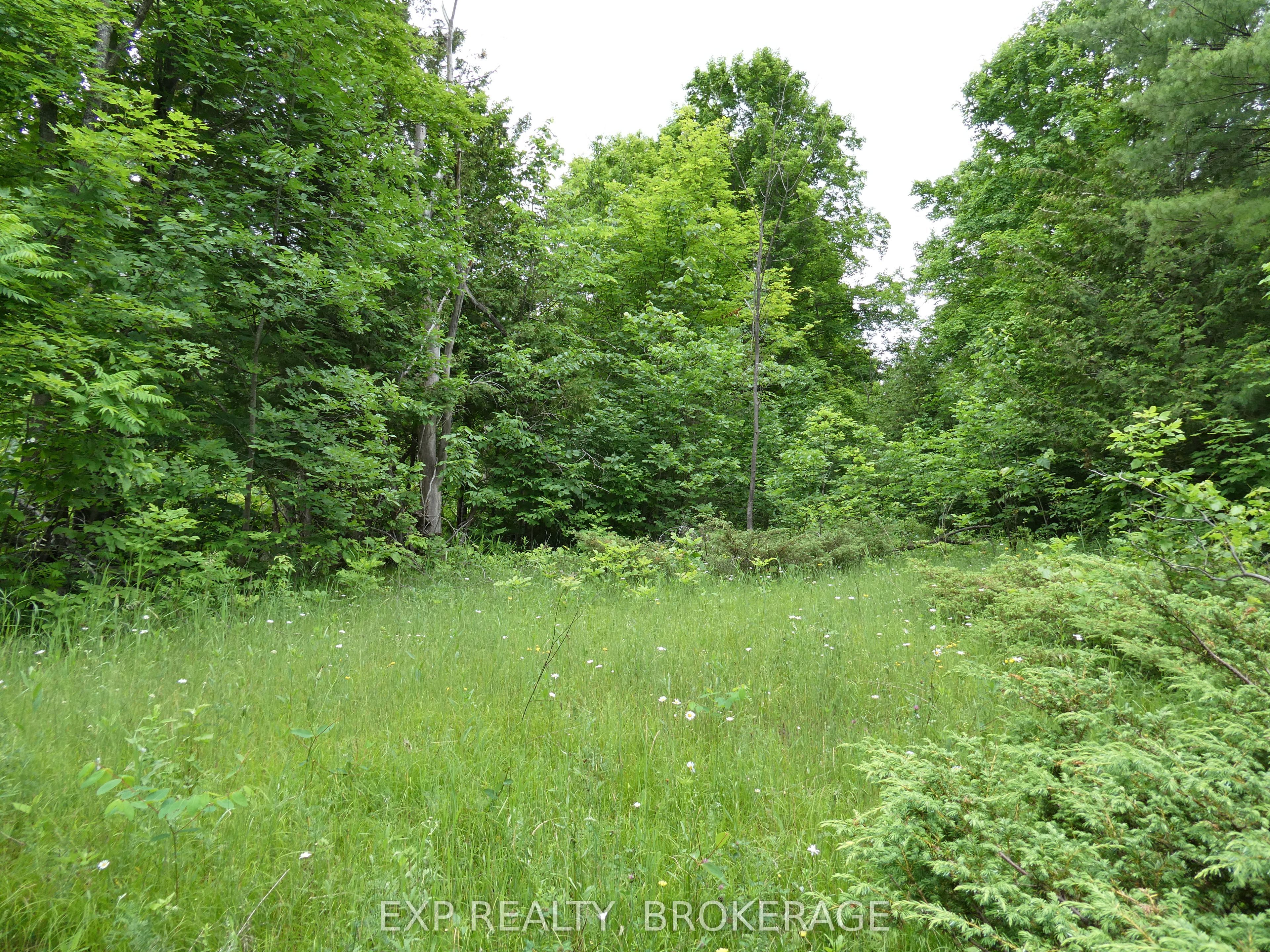 1881 Elm Tree Road Property Photo 24