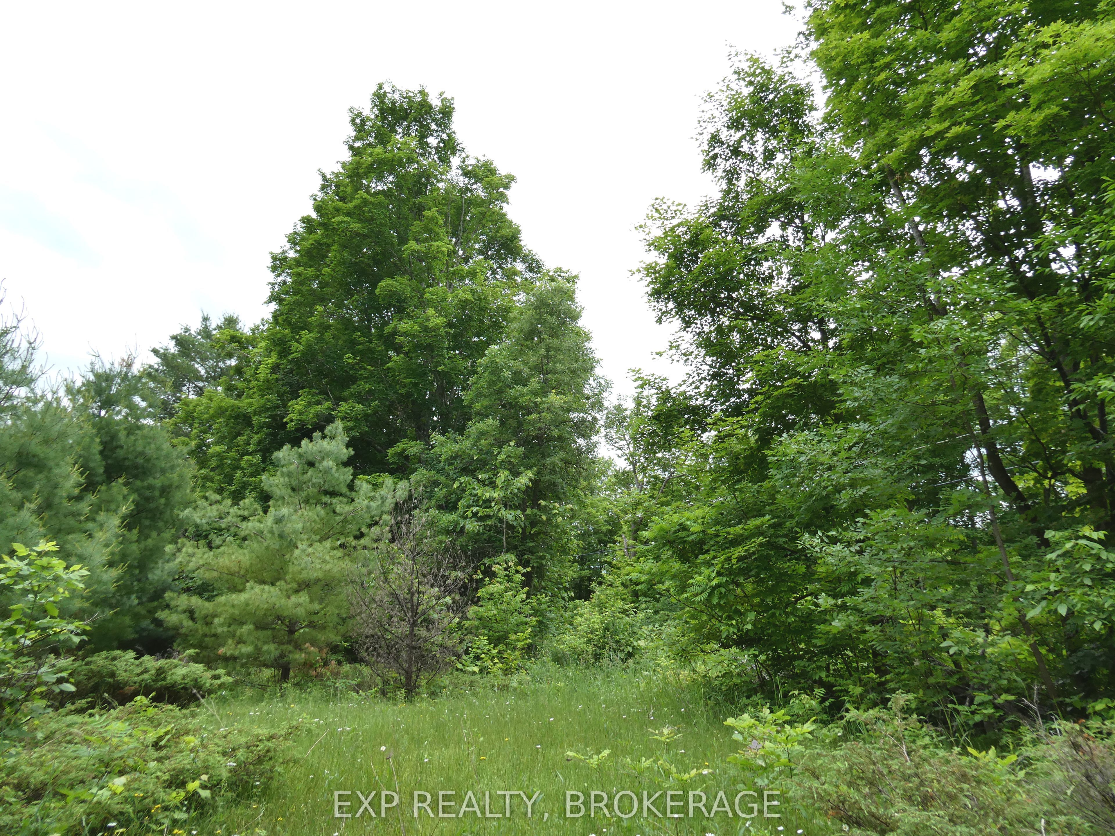 1881 Elm Tree Road Property Photo 25