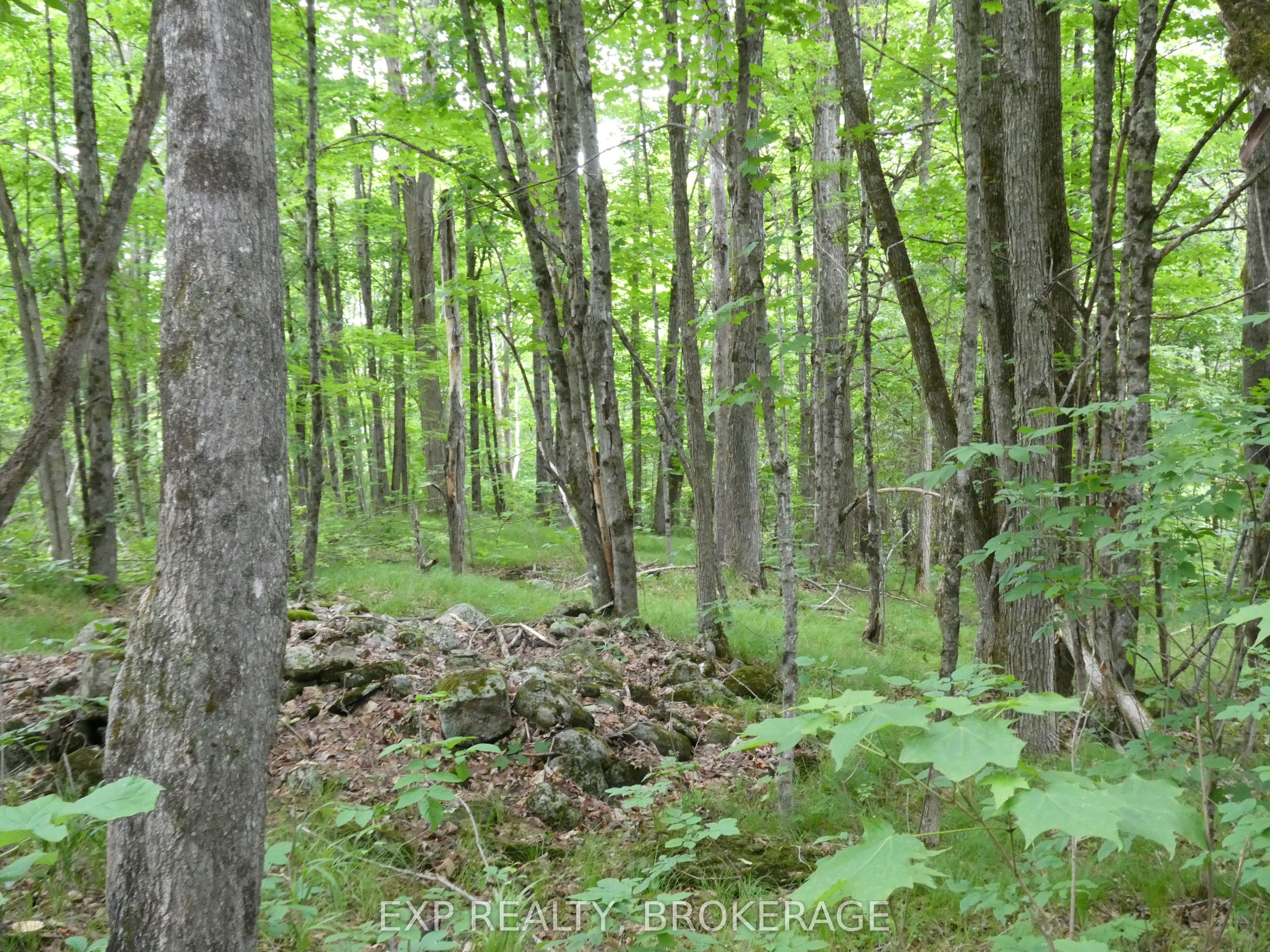 1881 Elm Tree Road Property Photo 29