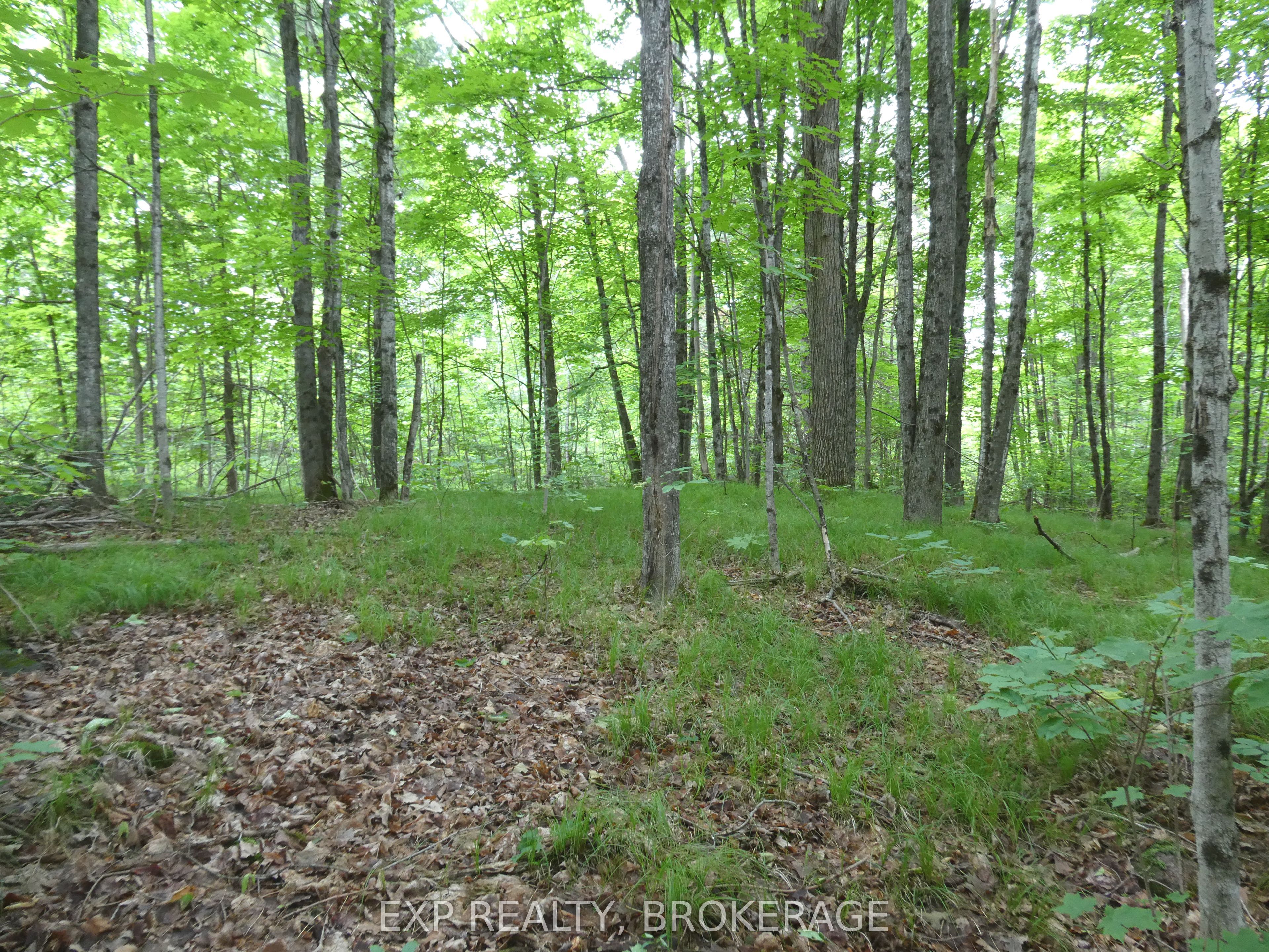 1881 Elm Tree Road Property Photo 31