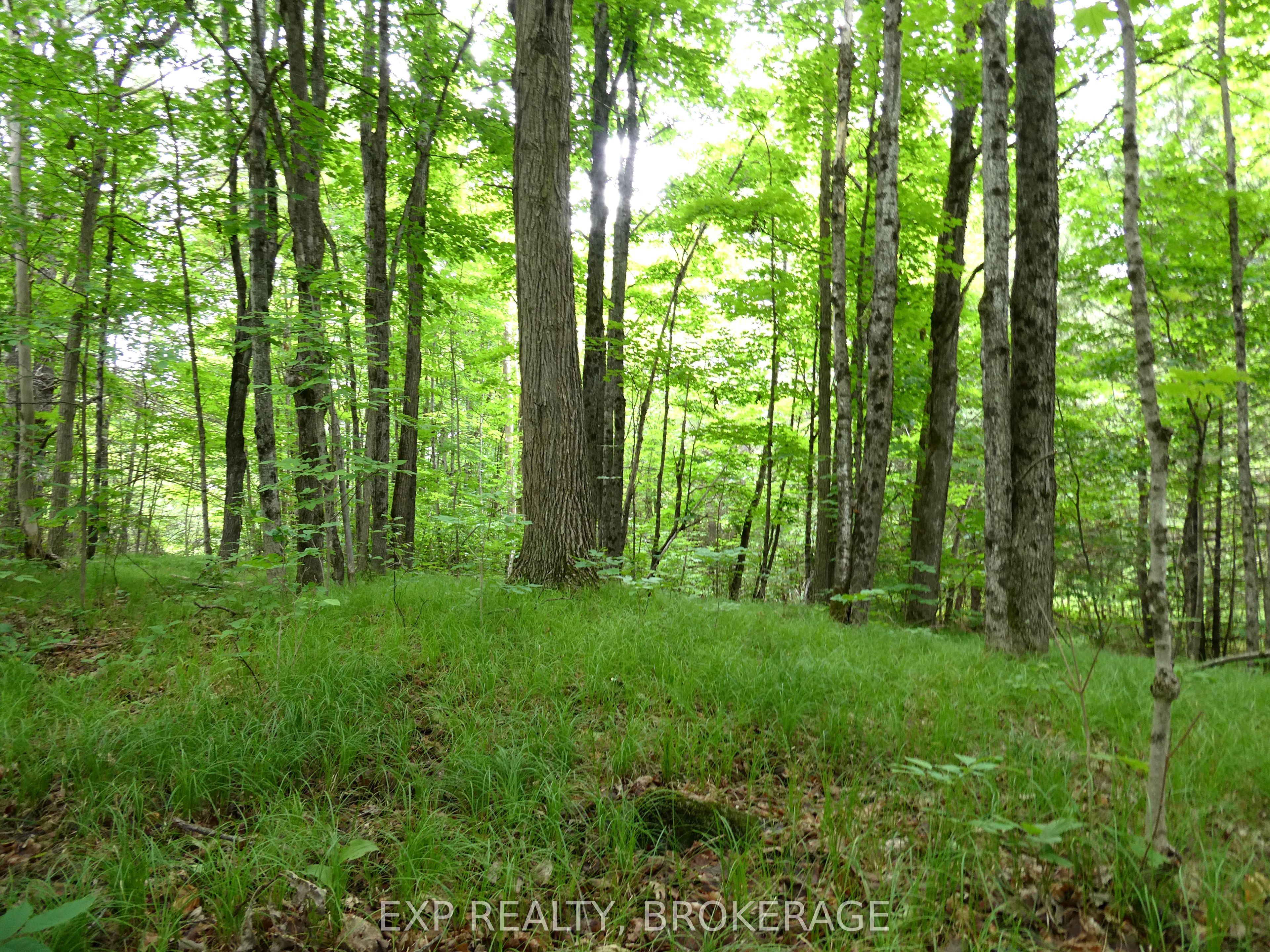 1881 Elm Tree Road Property Photo 32
