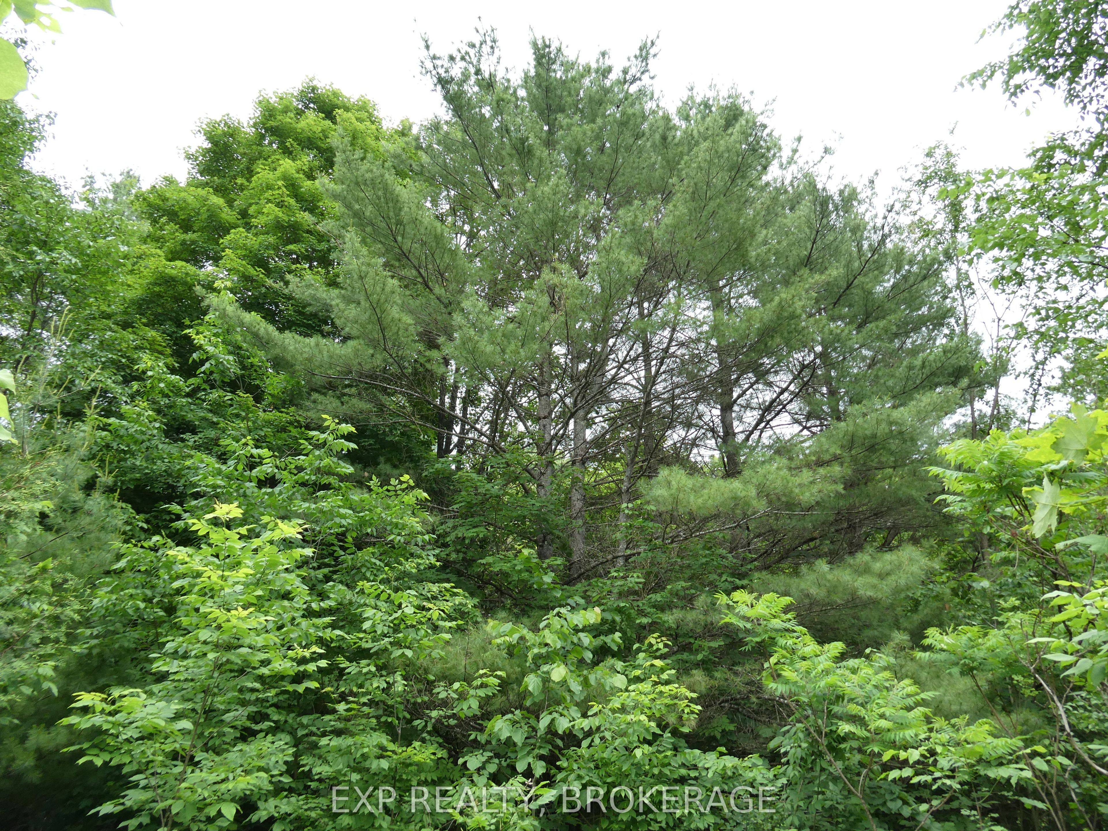 1881 Elm Tree Road Property Photo 33
