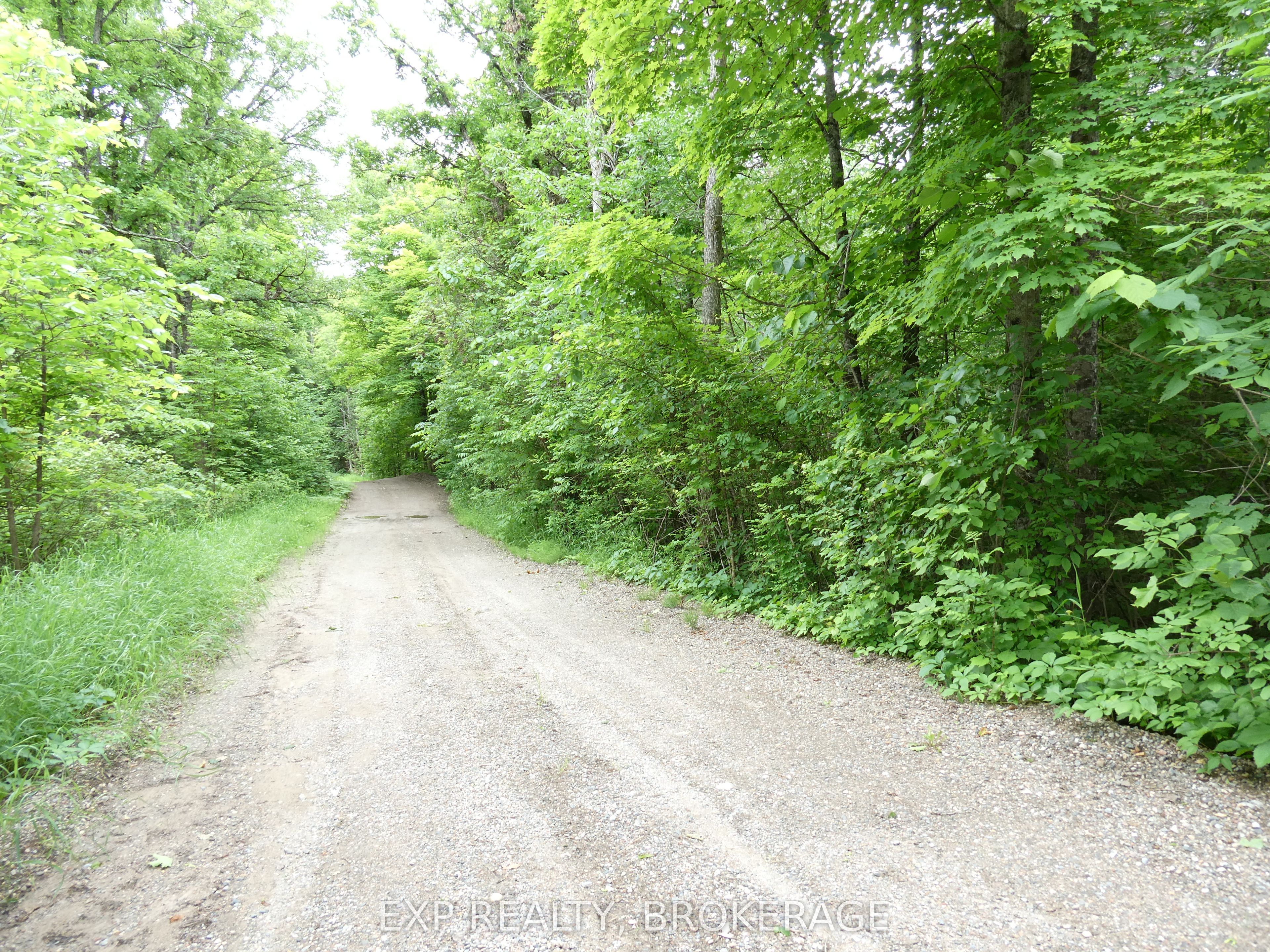 1881 Elm Tree Road Property Photo 34