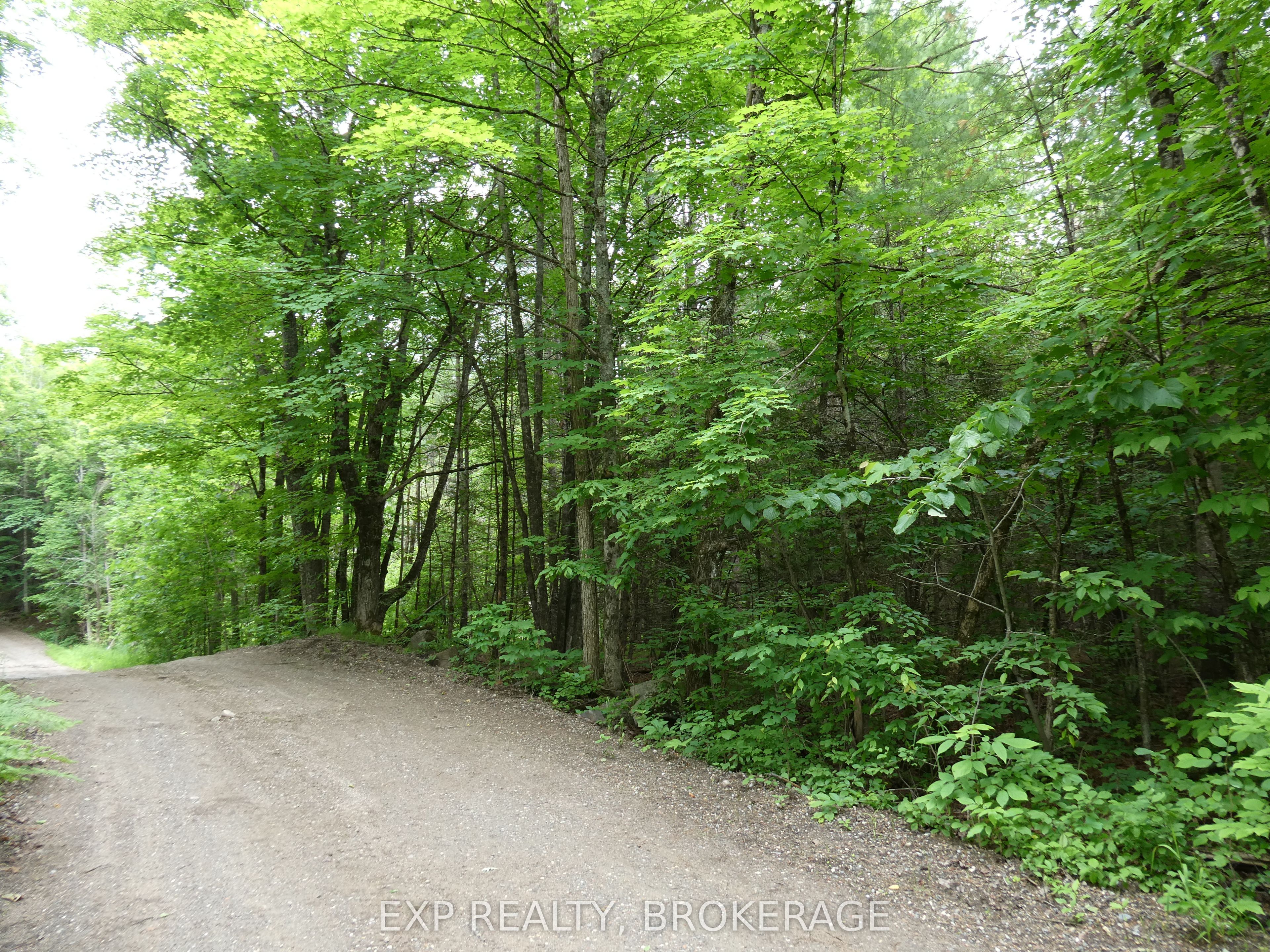 1881 Elm Tree Road Property Photo 35