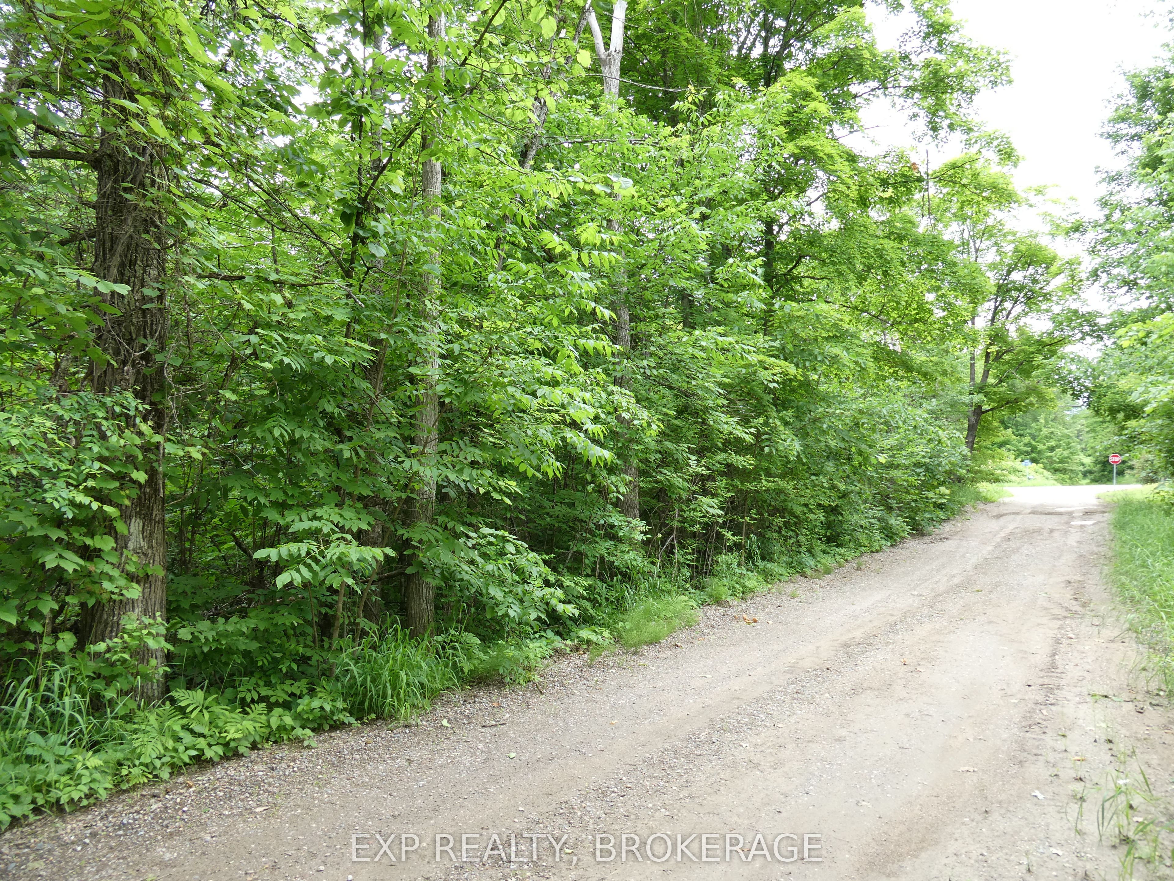 1881 Elm Tree Road Property Photo 36