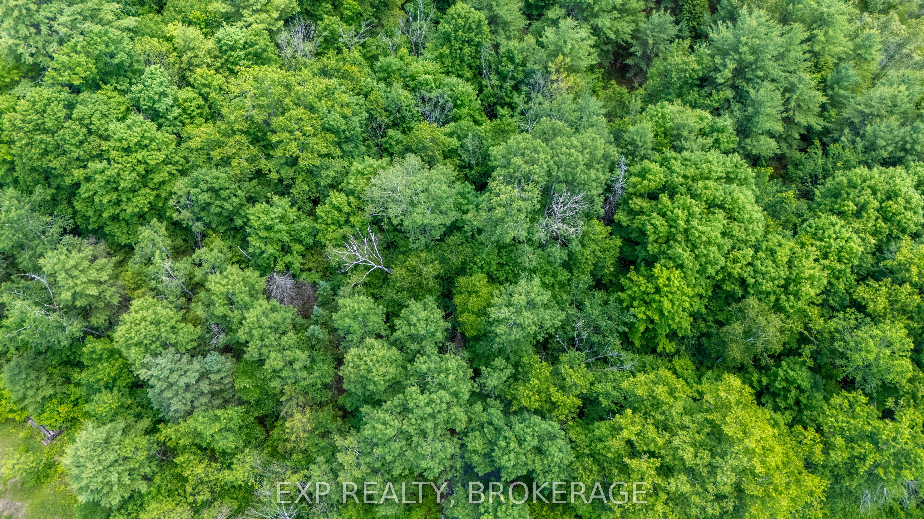 1931 Elm Tree Road Property Photo 3