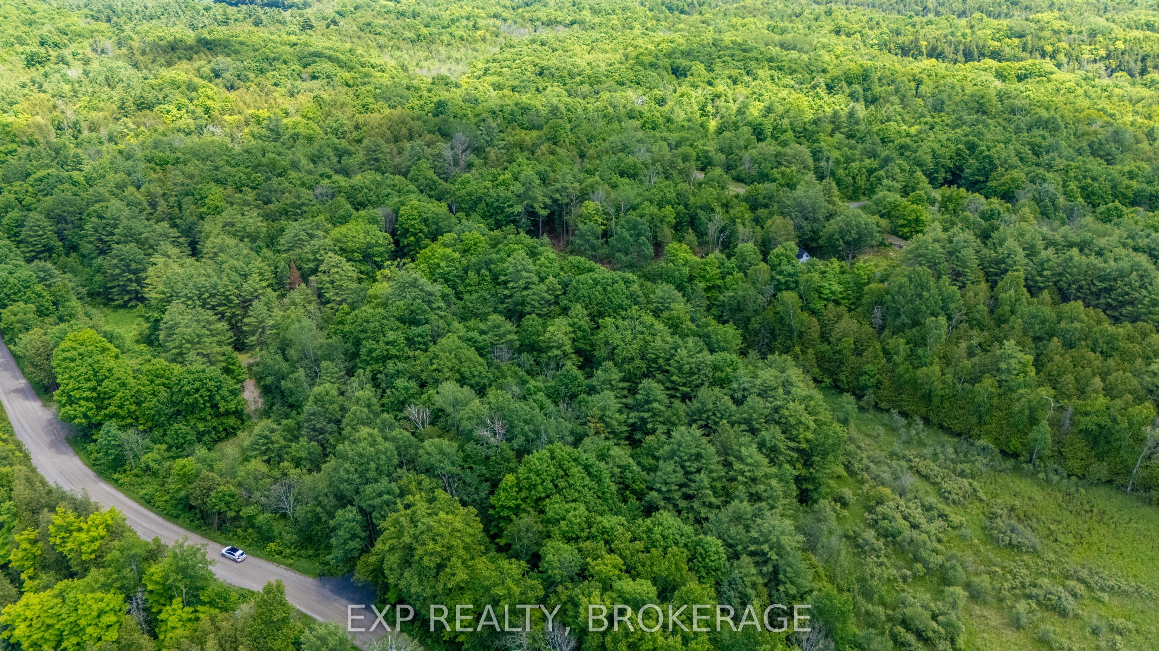 1931 Elm Tree Road Property Photo 4