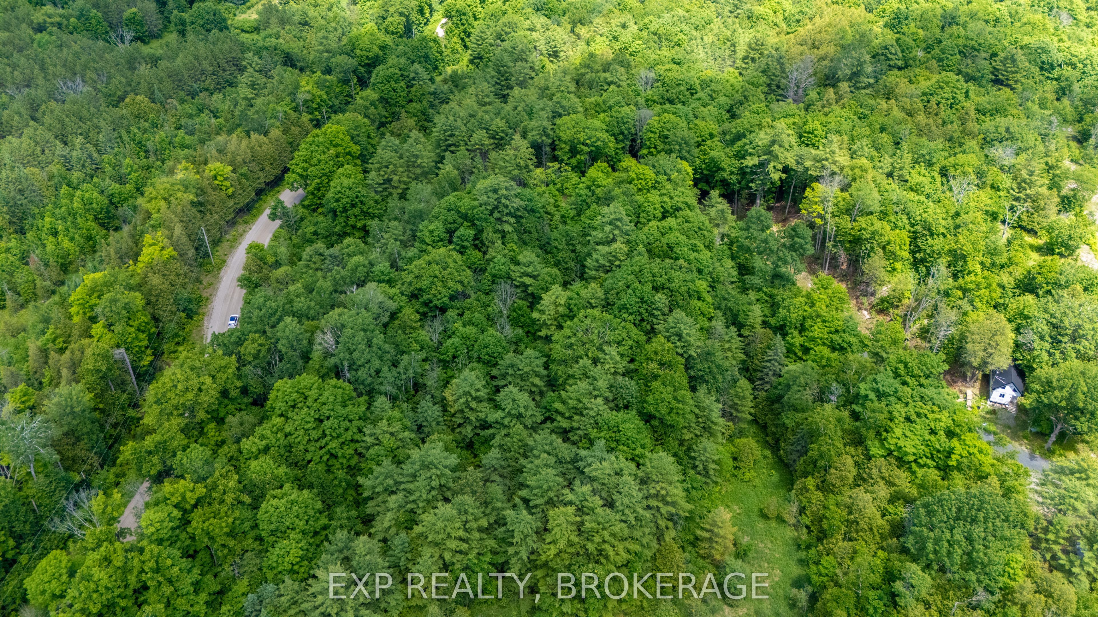 1931 Elm Tree Road Property Photo 6