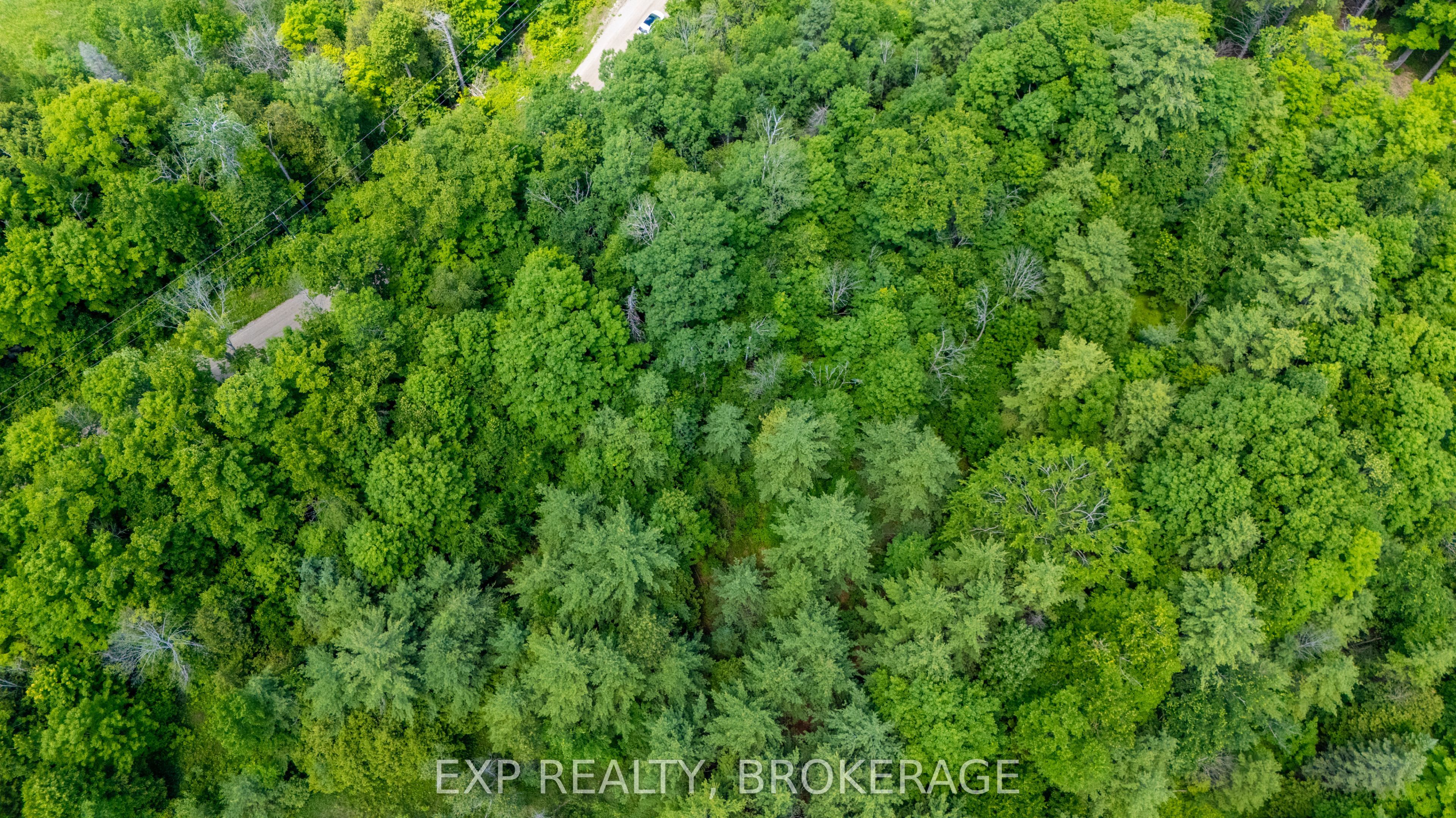 1931 Elm Tree Road Property Photo 7