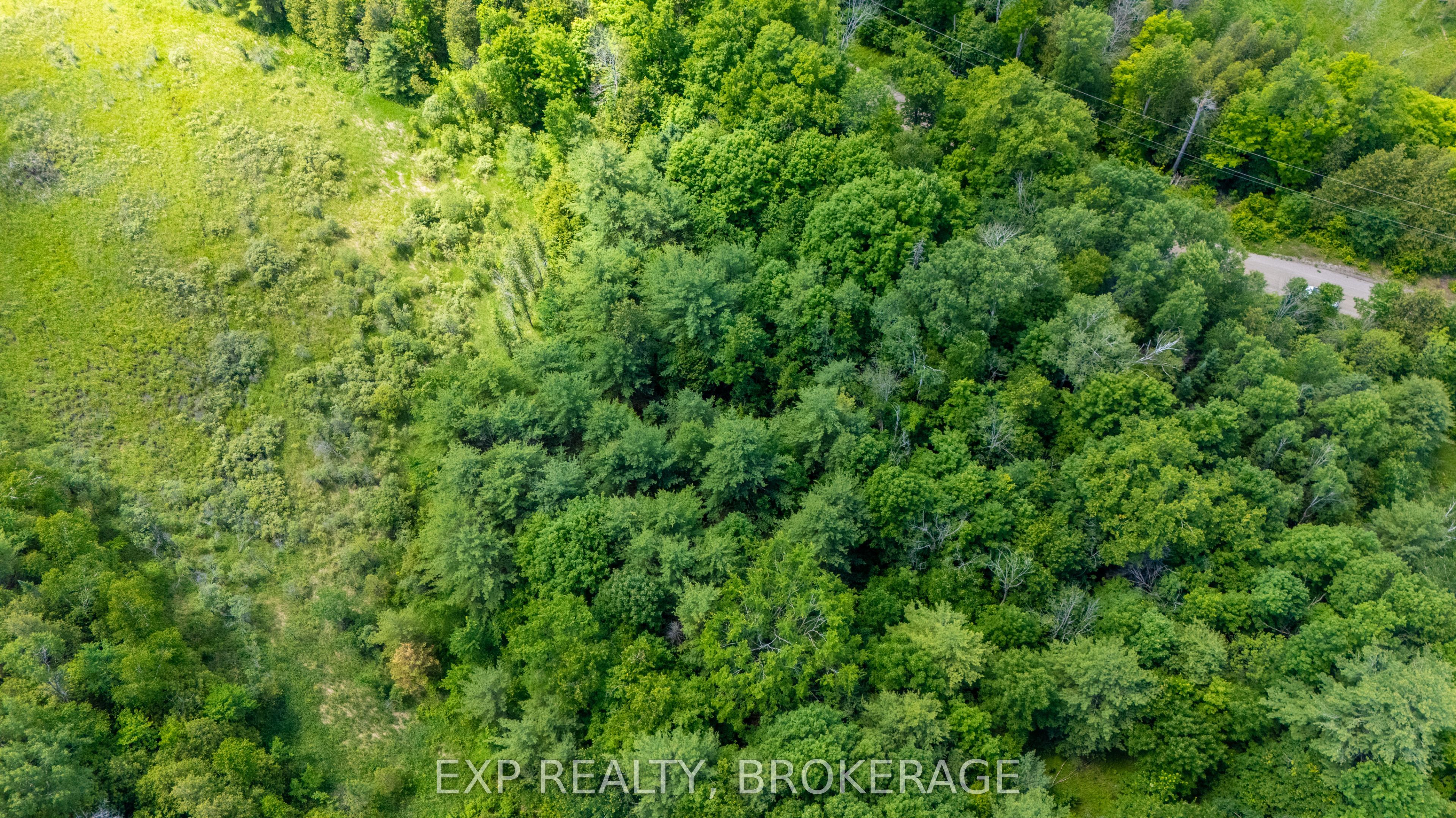 1931 Elm Tree Road Property Photo 8