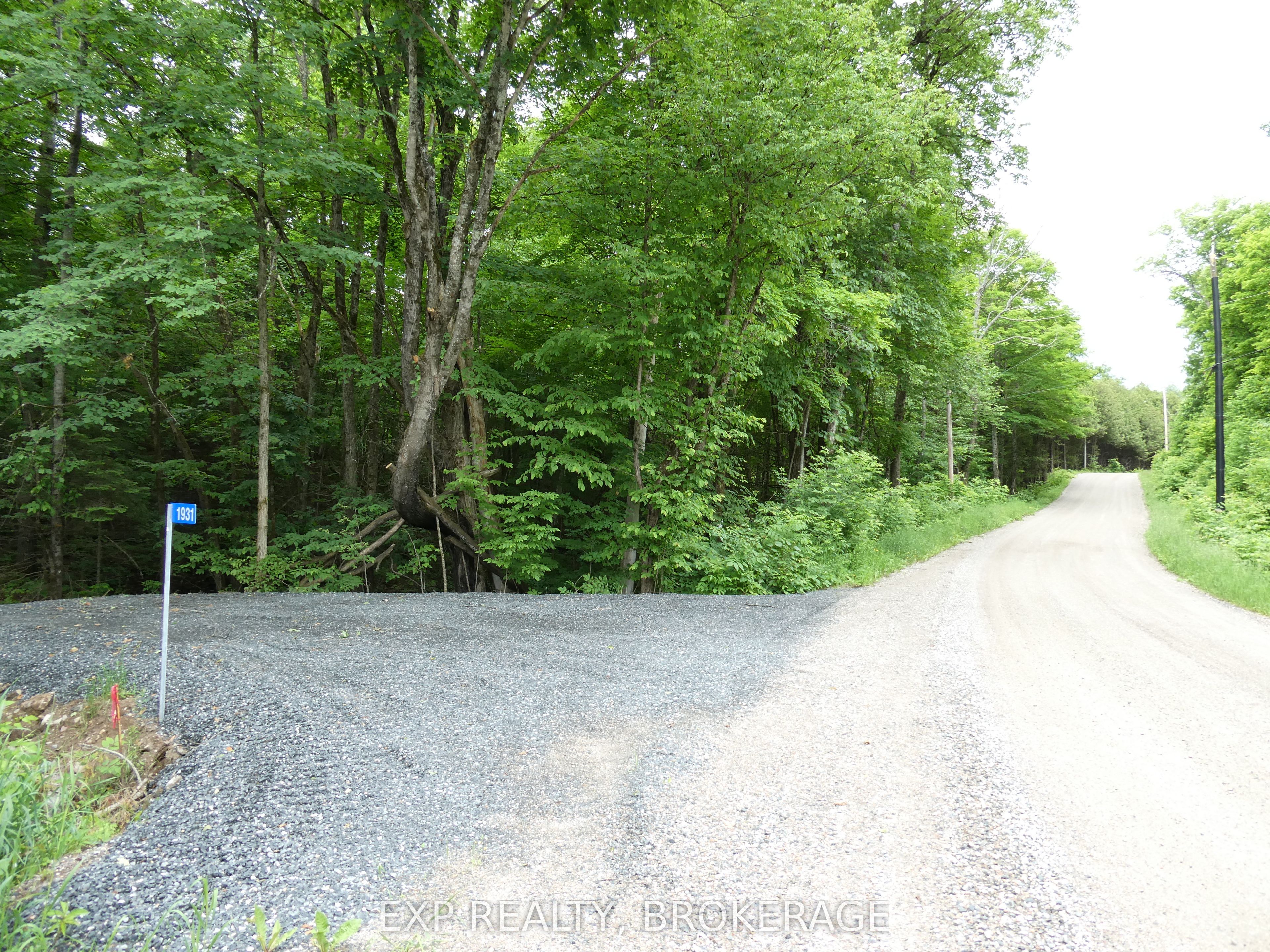 1931 Elm Tree Road Property Photo 14