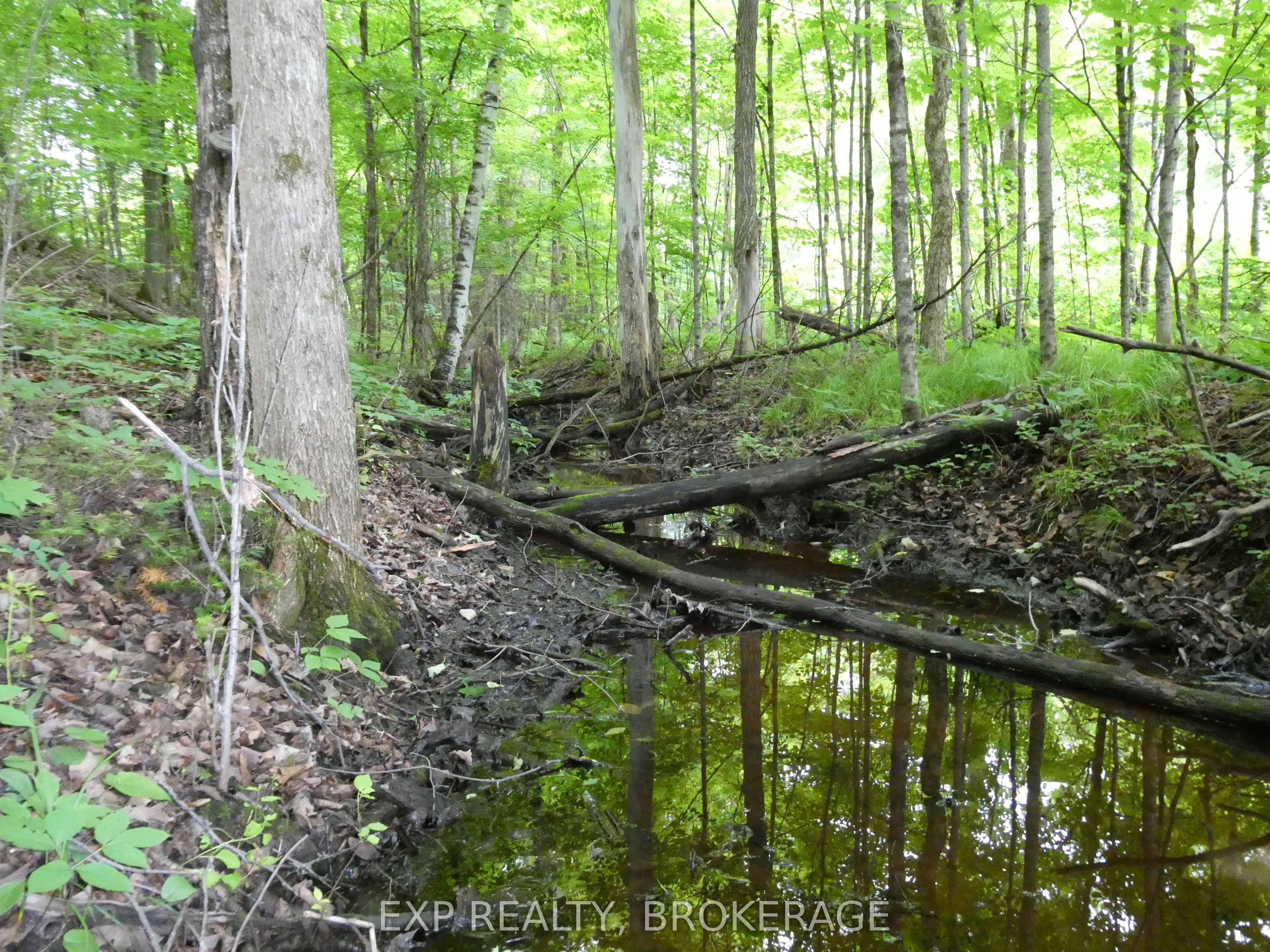 1931 Elm Tree Road Property Photo 16