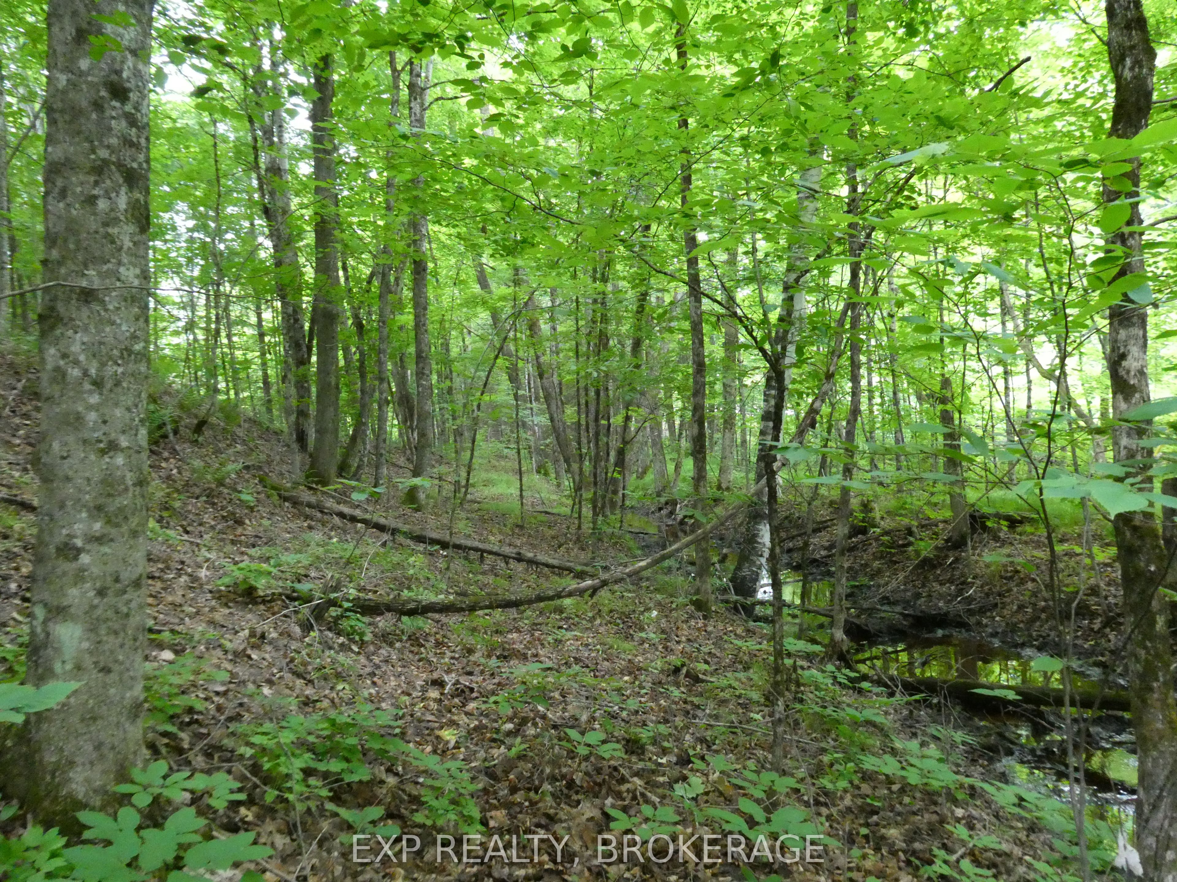 1931 Elm Tree Road Property Photo 20