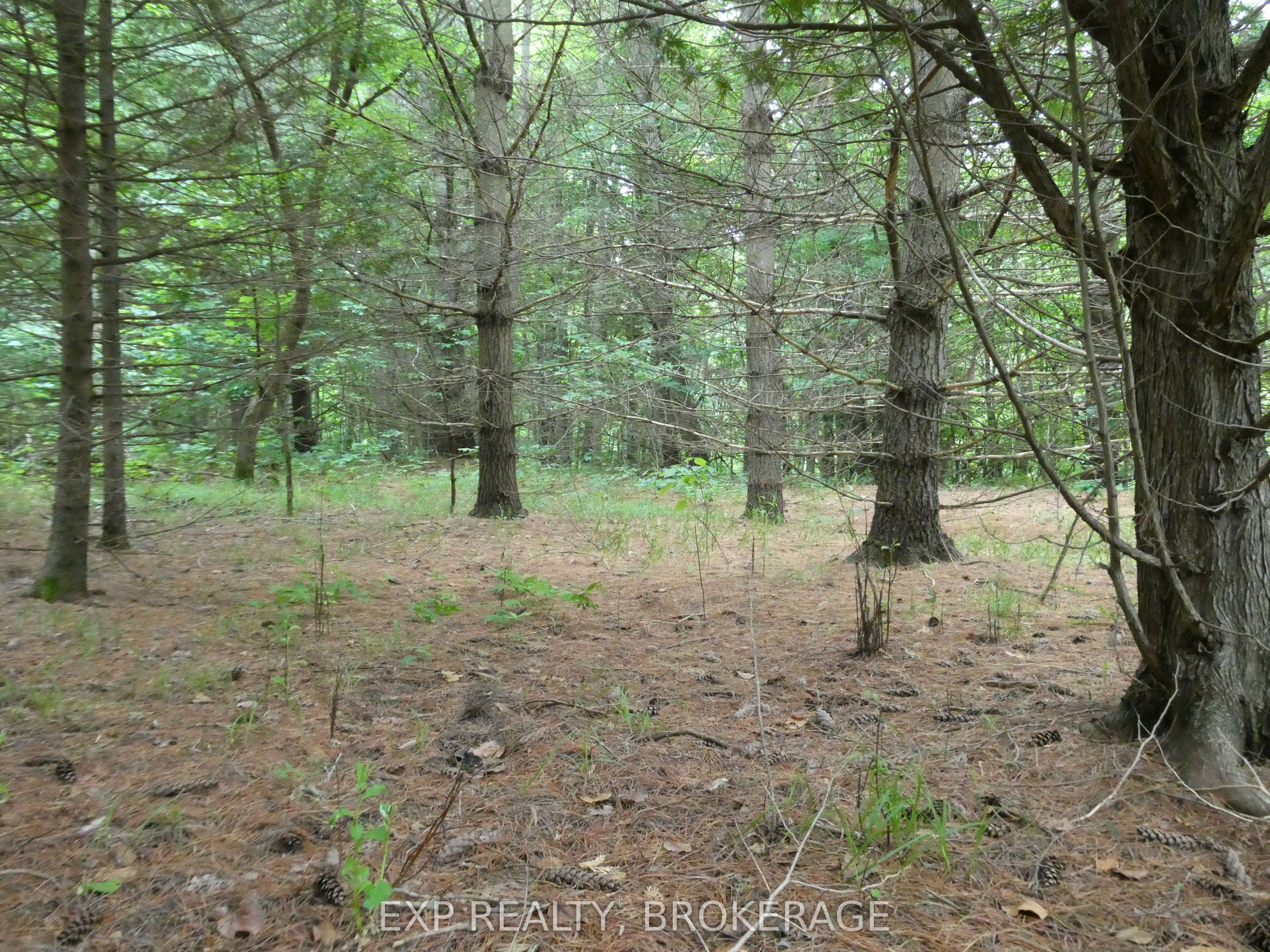1931 Elm Tree Road Property Photo 21