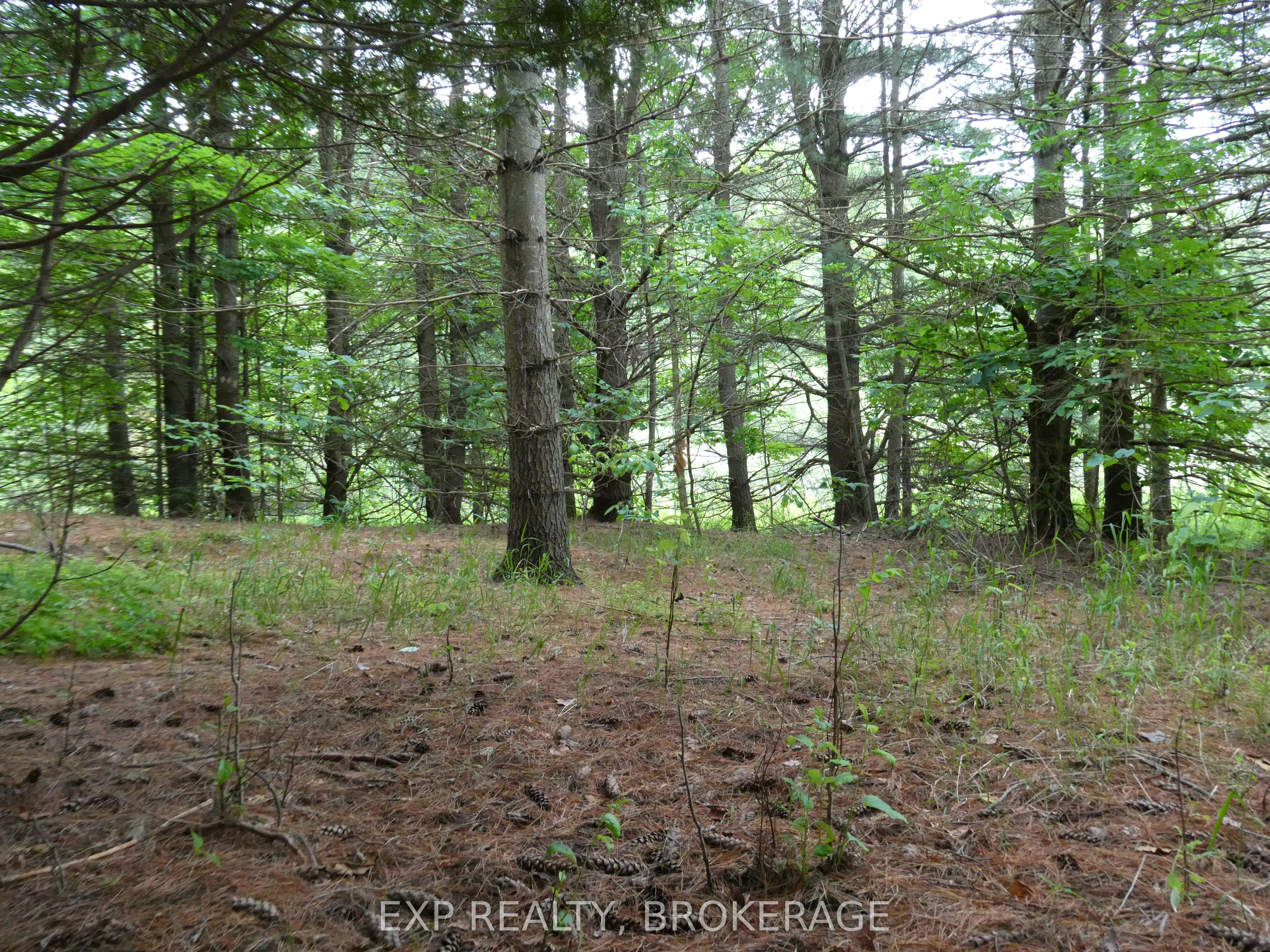 1931 Elm Tree Road Property Photo 22