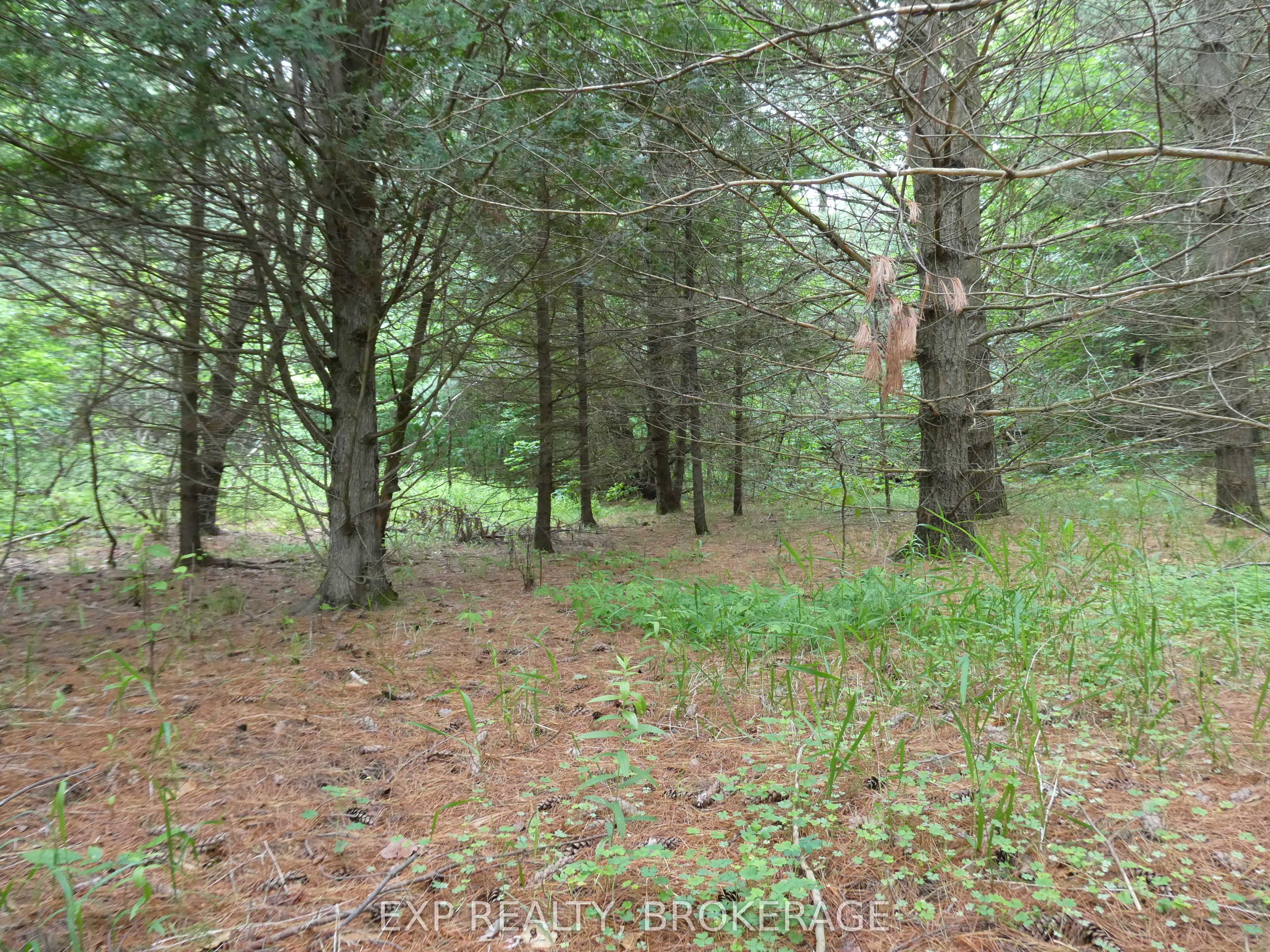 1931 Elm Tree Road Property Photo 23