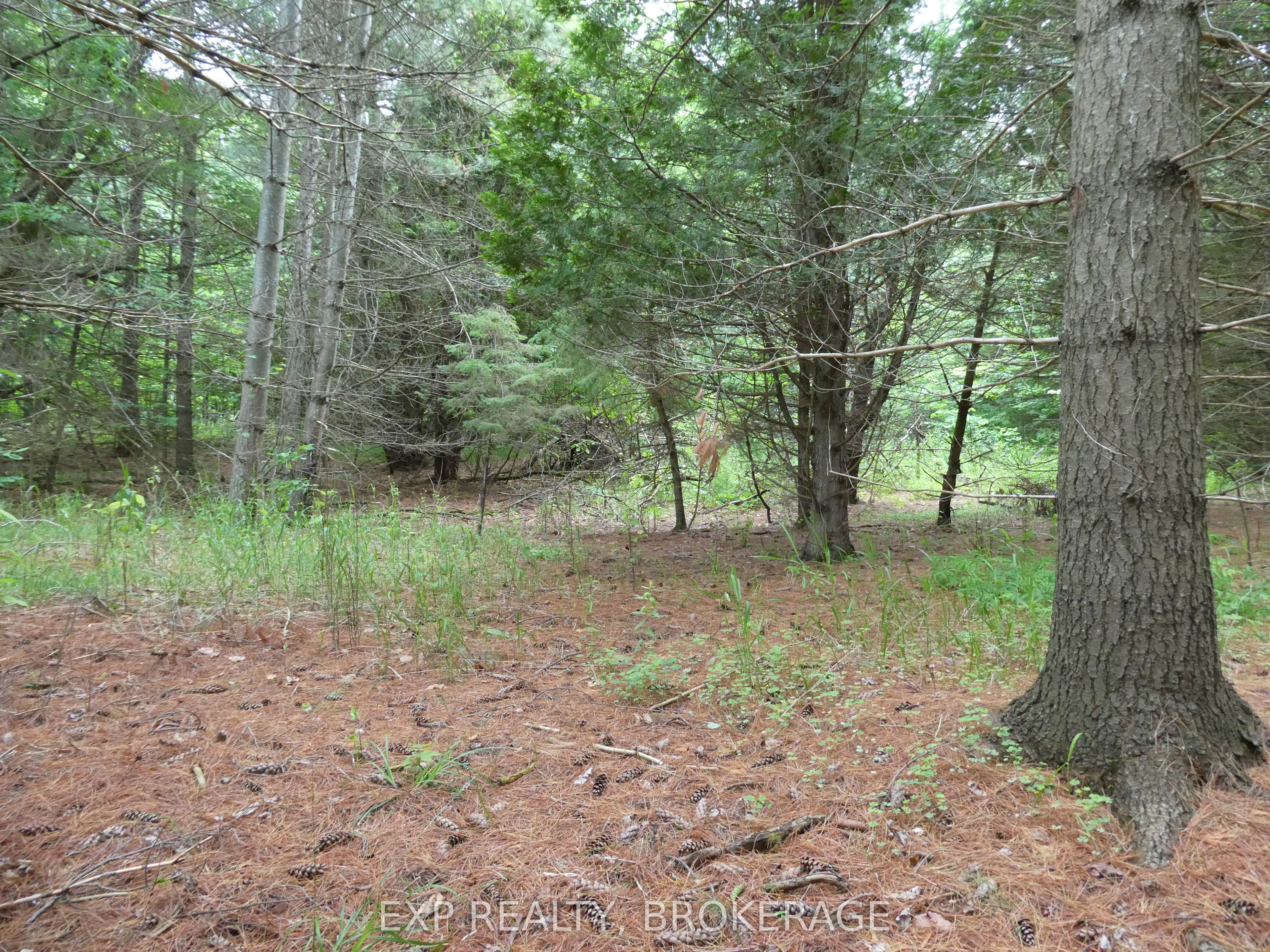 1931 Elm Tree Road Property Photo 24