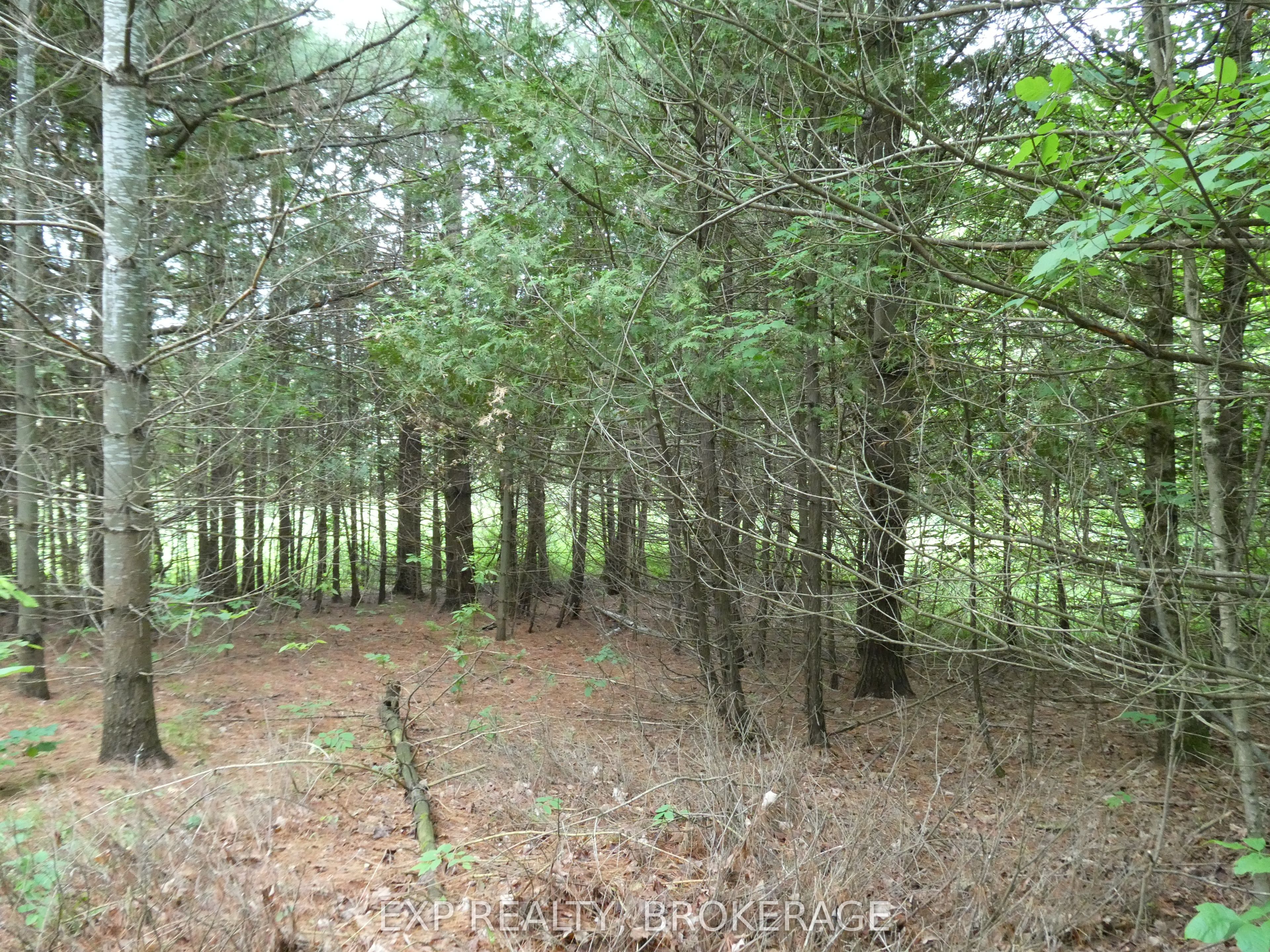 1931 Elm Tree Road Property Photo 25