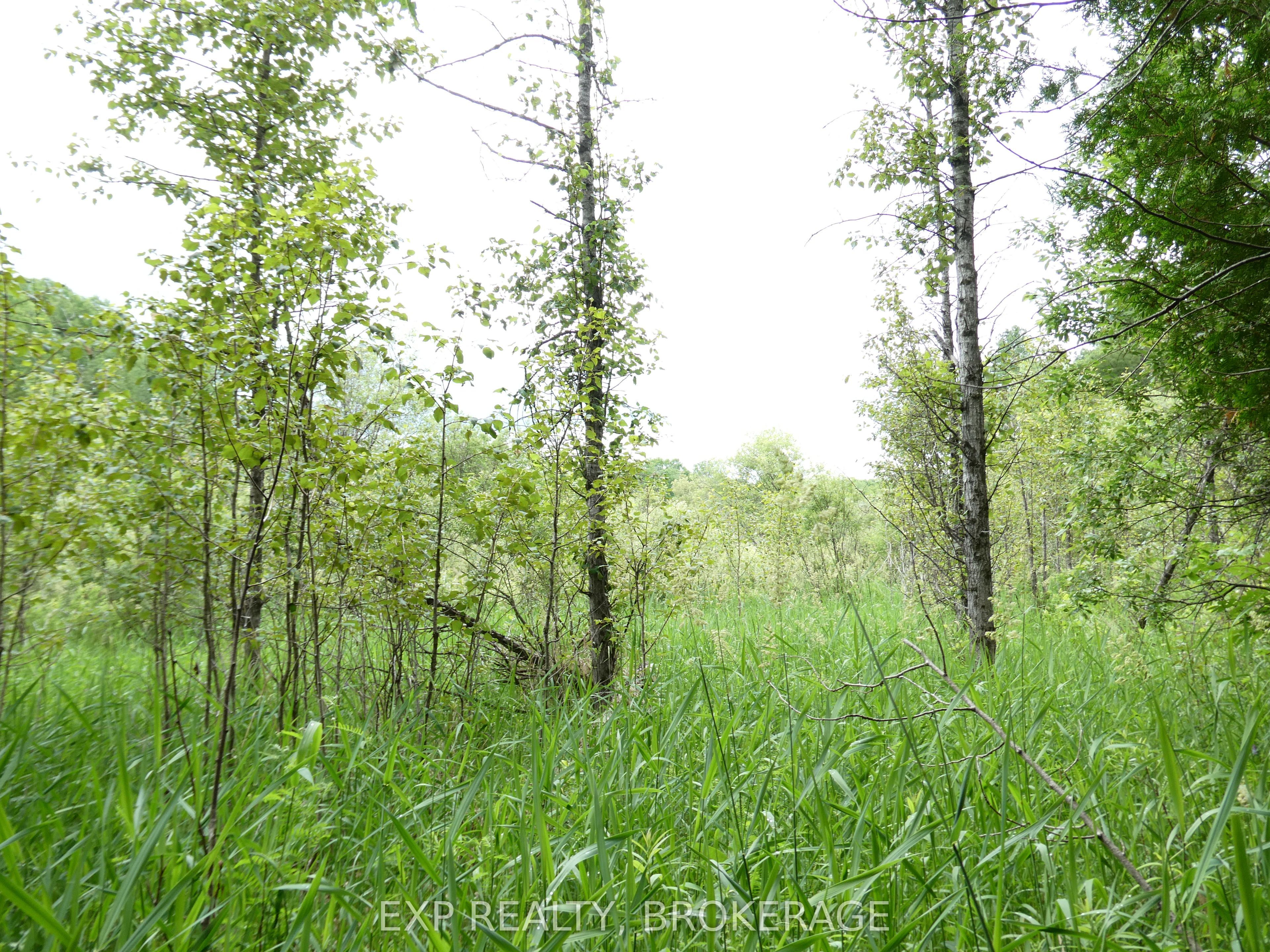 1931 Elm Tree Road Property Photo 26