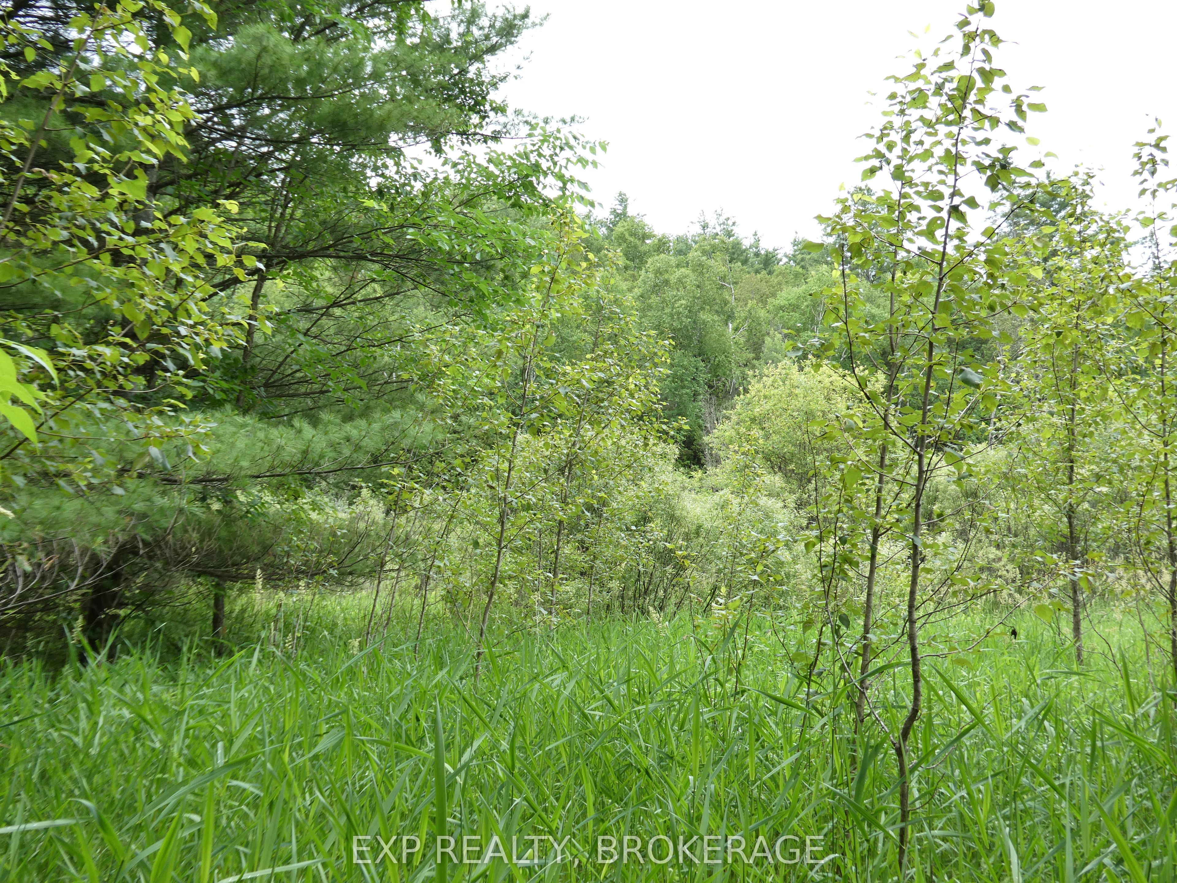 1931 Elm Tree Road Property Photo 27