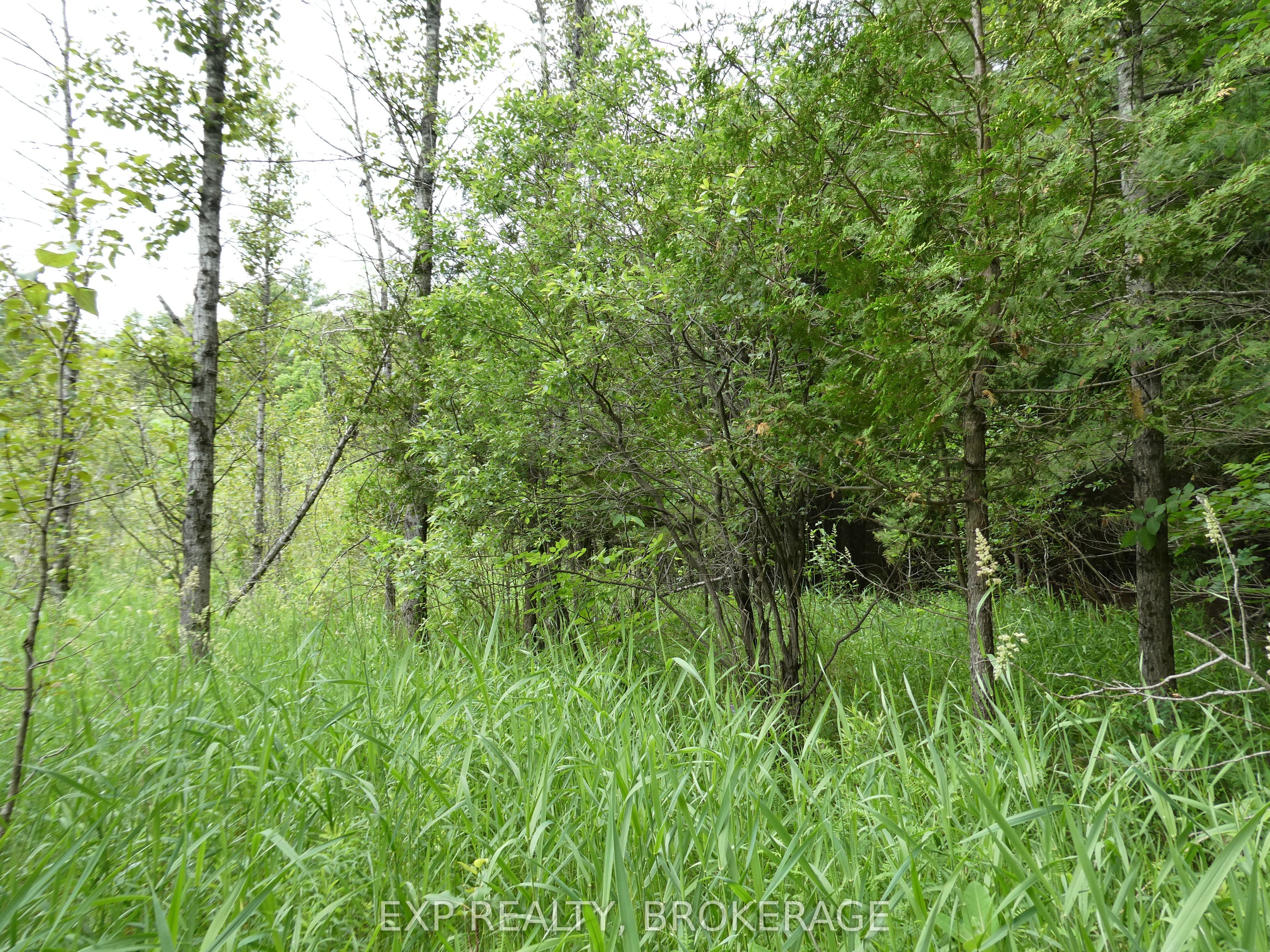 1931 Elm Tree Road Property Photo 28