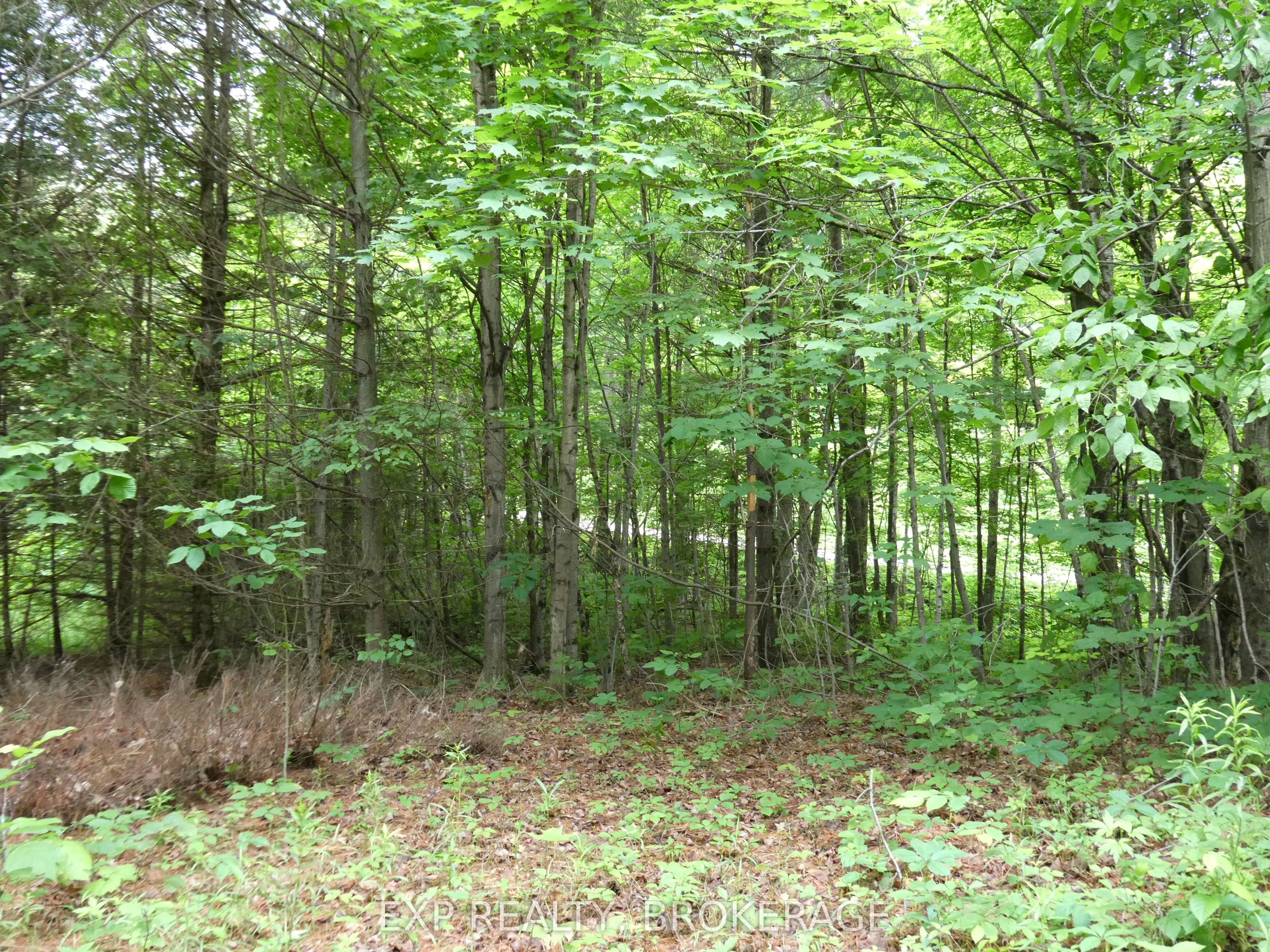 1931 Elm Tree Road Property Photo 29