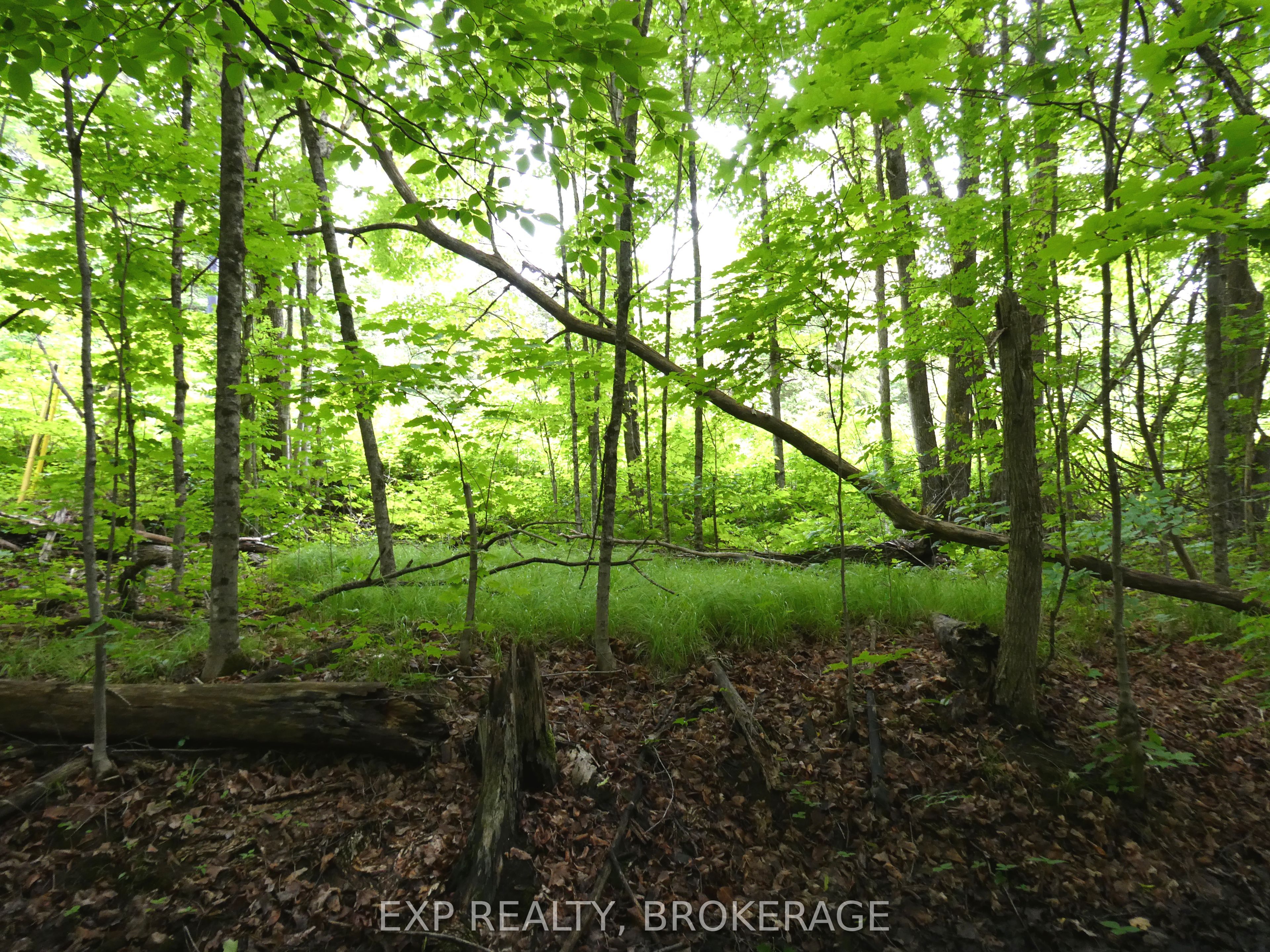 1931 Elm Tree Road Property Photo 30