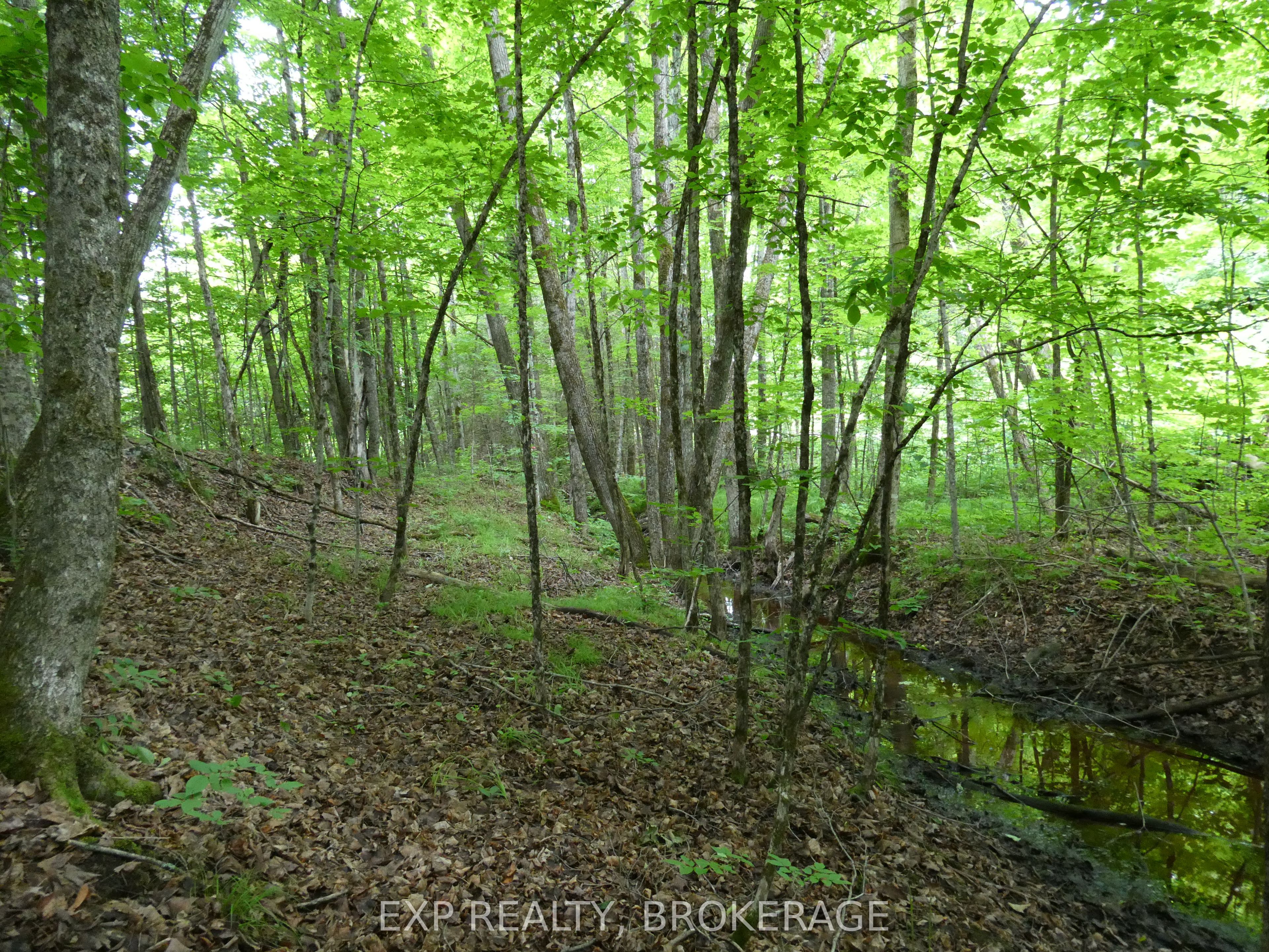 1931 Elm Tree Road Property Photo 31