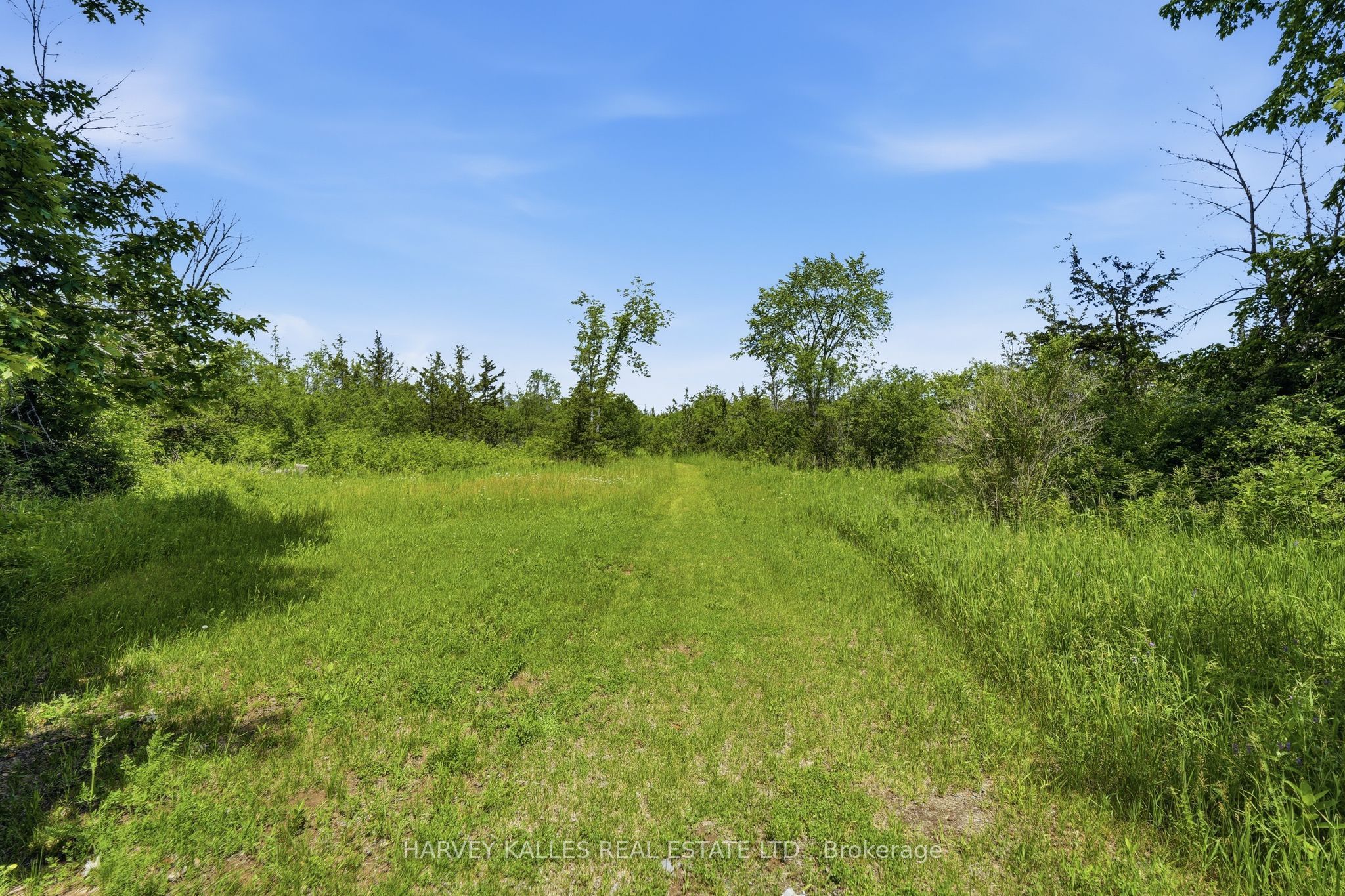 685 County 8 Road Property Photo 3