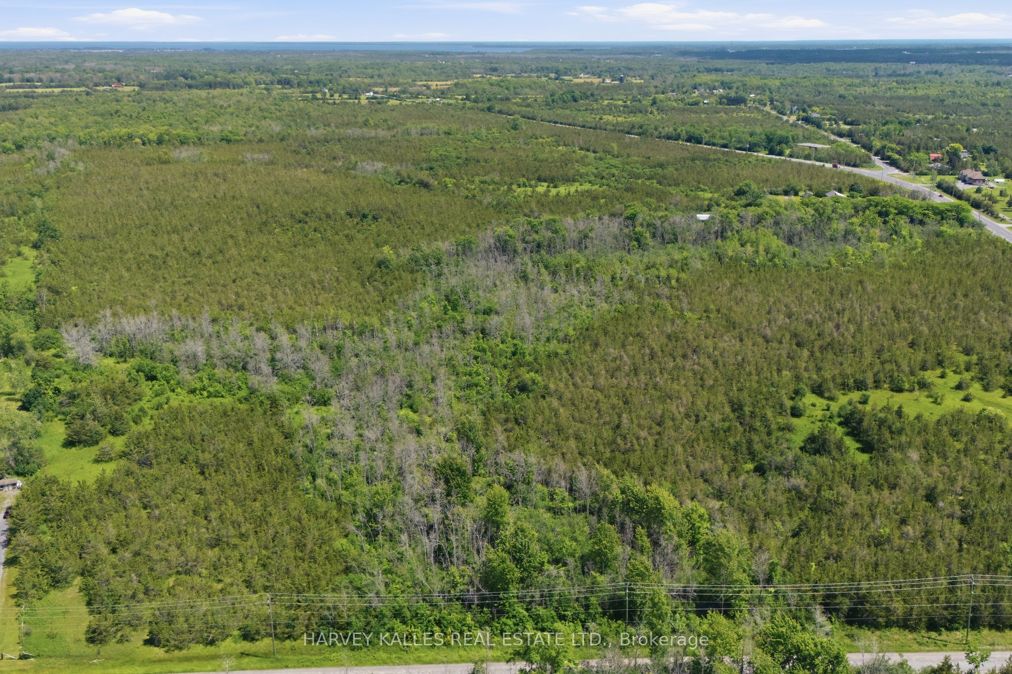 685 County 8 Road Property Photo 4