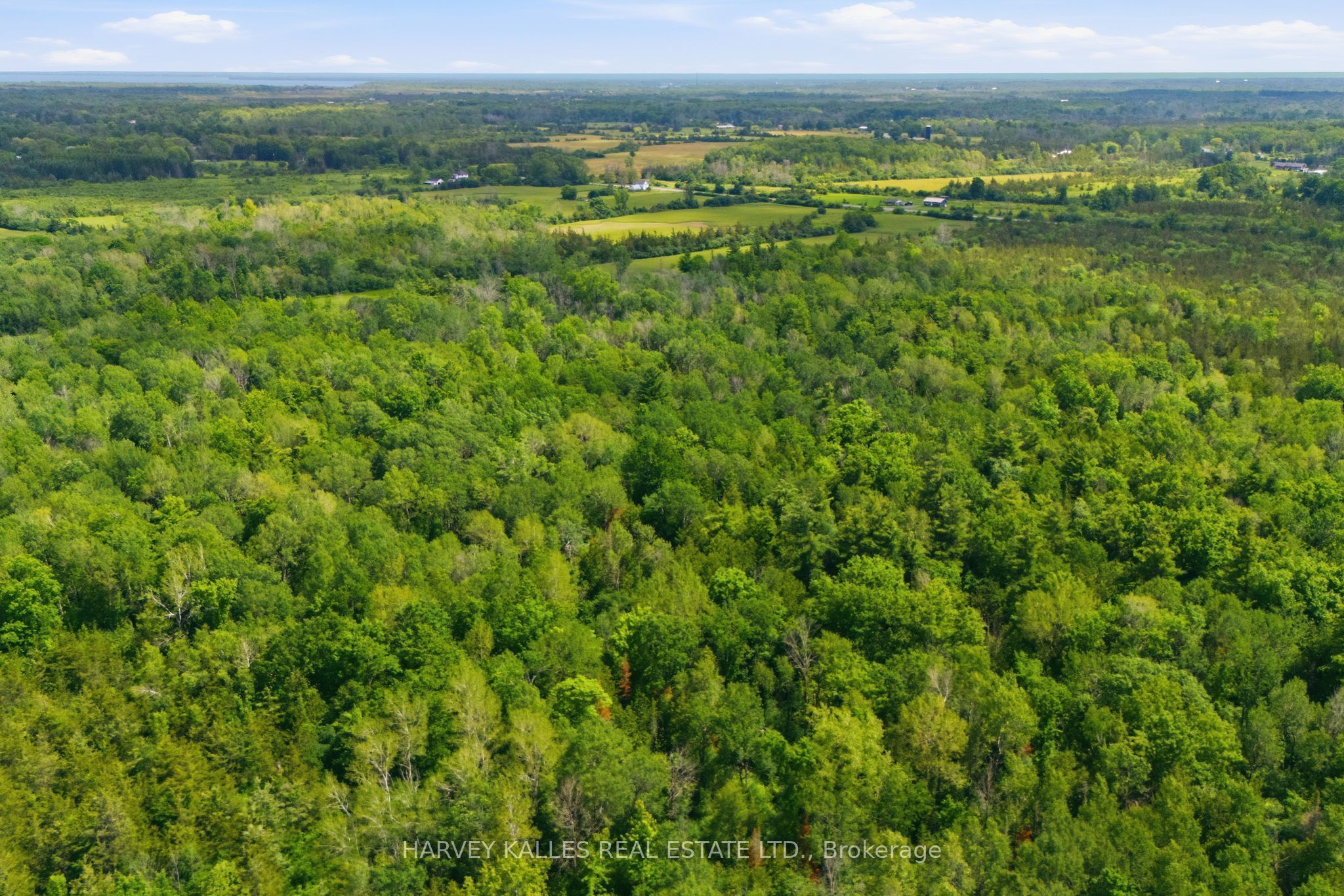 685 County 8 Road Property Photo 6