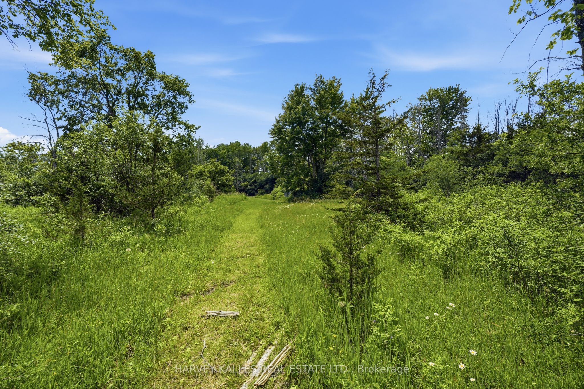 685 County 8 Road Property Photo 12