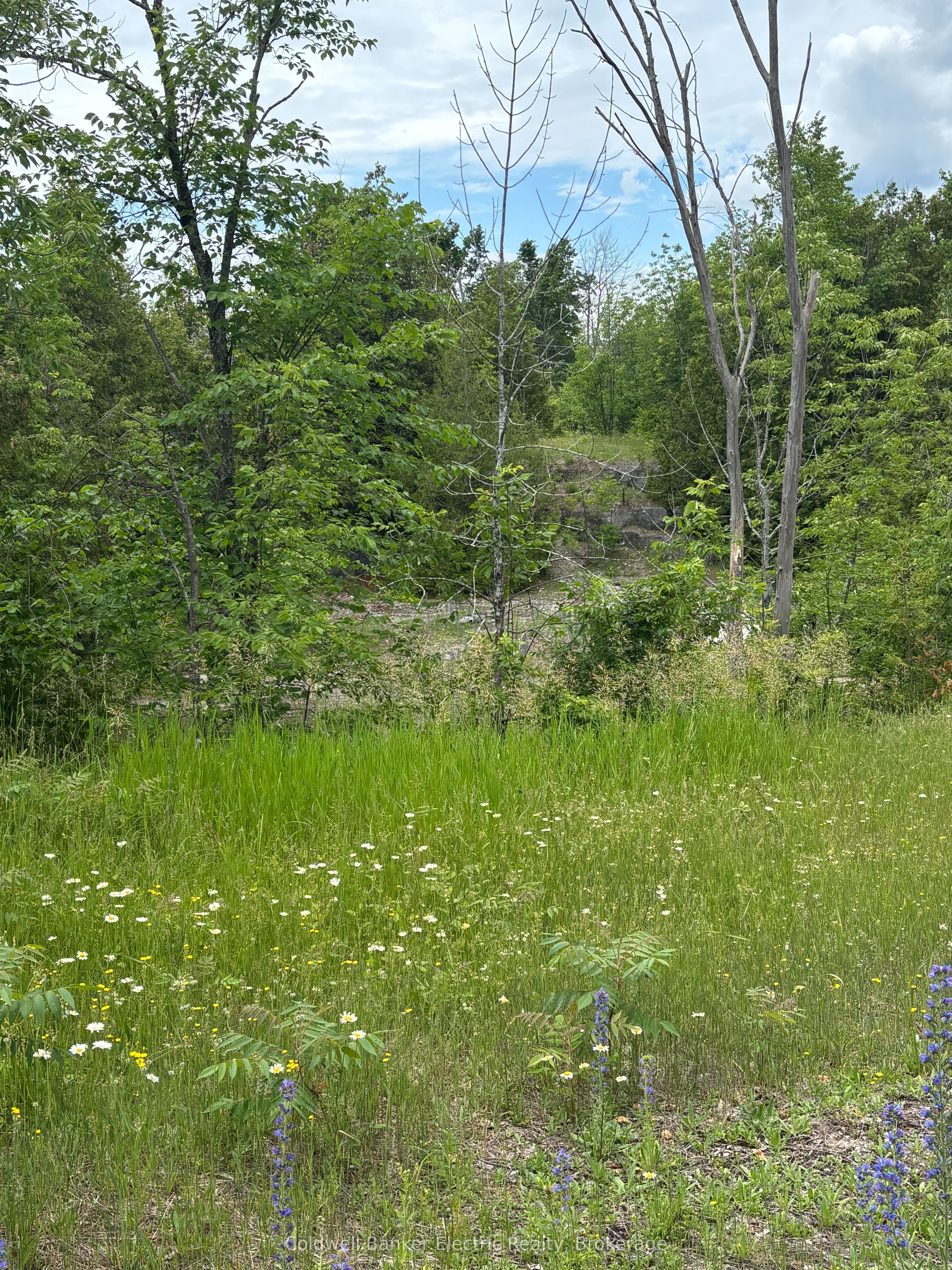 0 Tower Road Property Photo 1