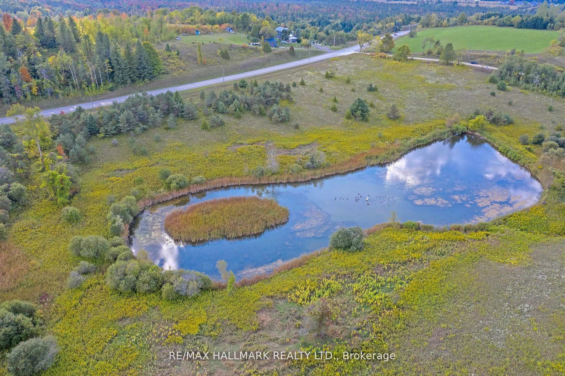 5285 Trafalgar Road Property Photo 10