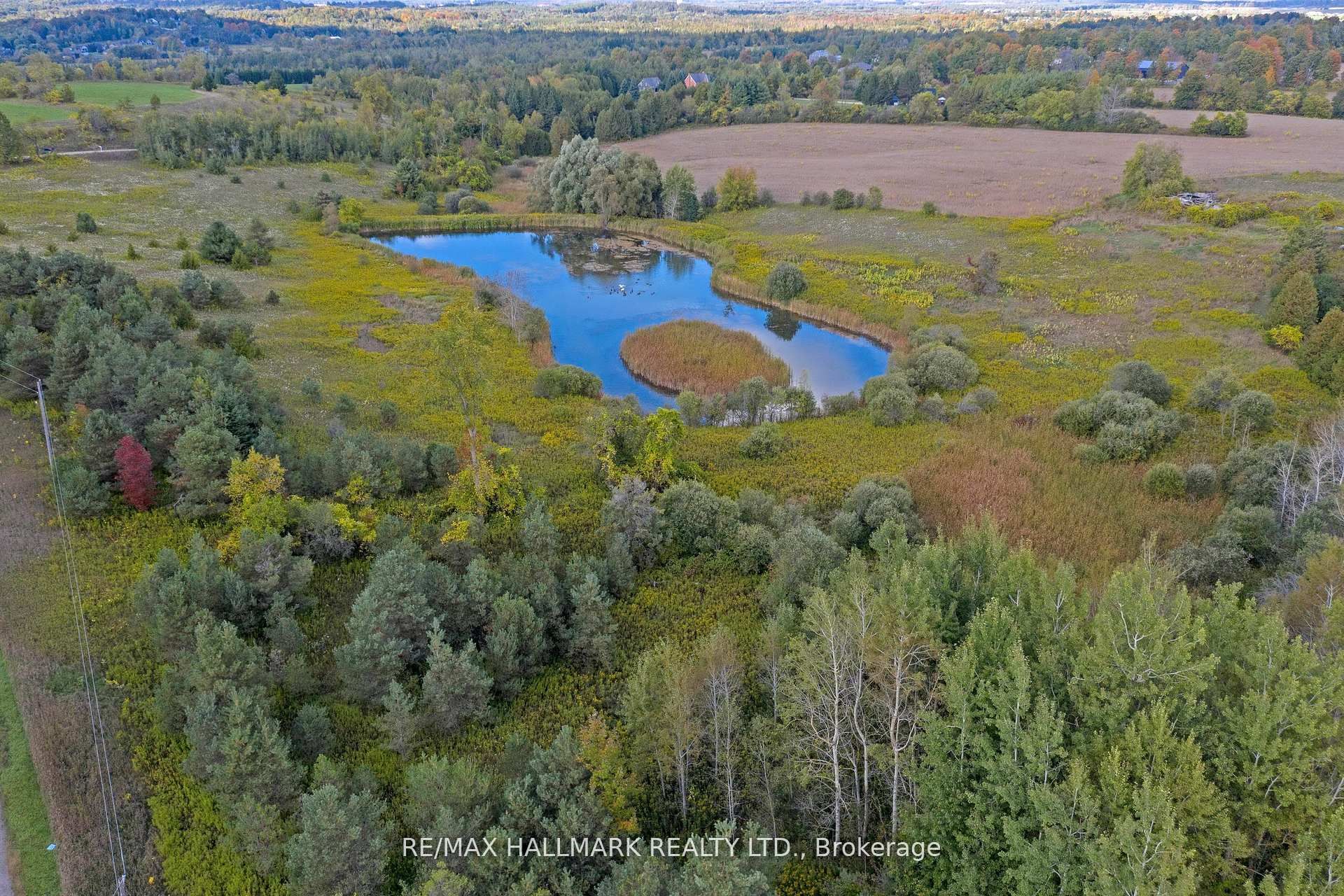 5285 Trafalgar Road Property Photo 13